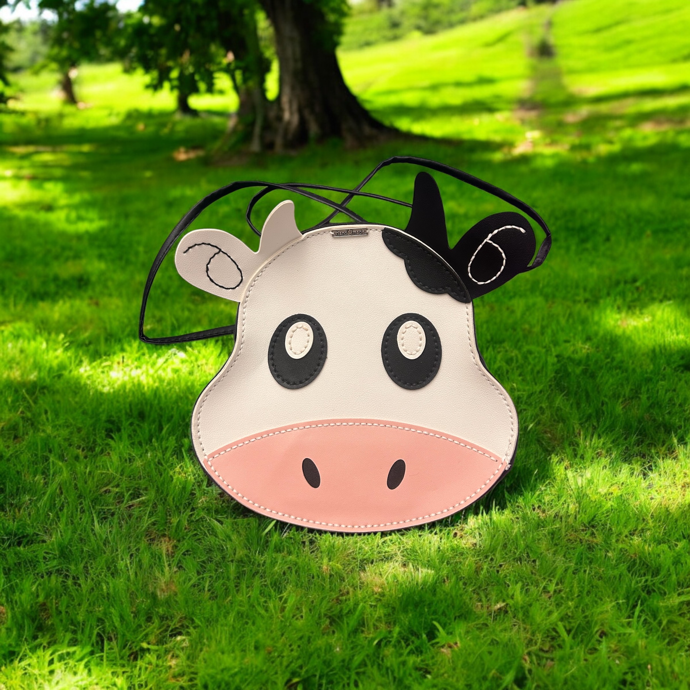 Image supplémentaire