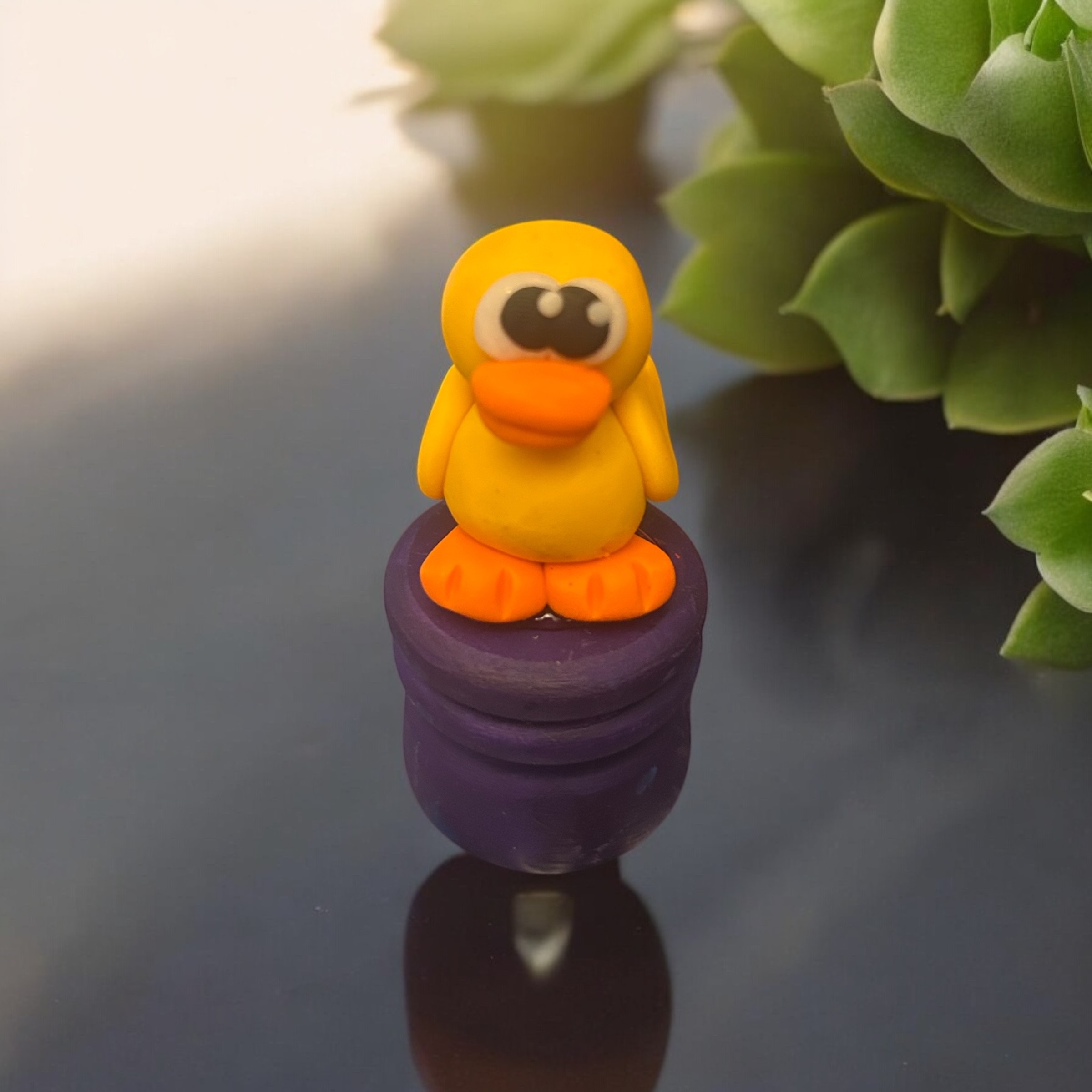 Image supplémentaire