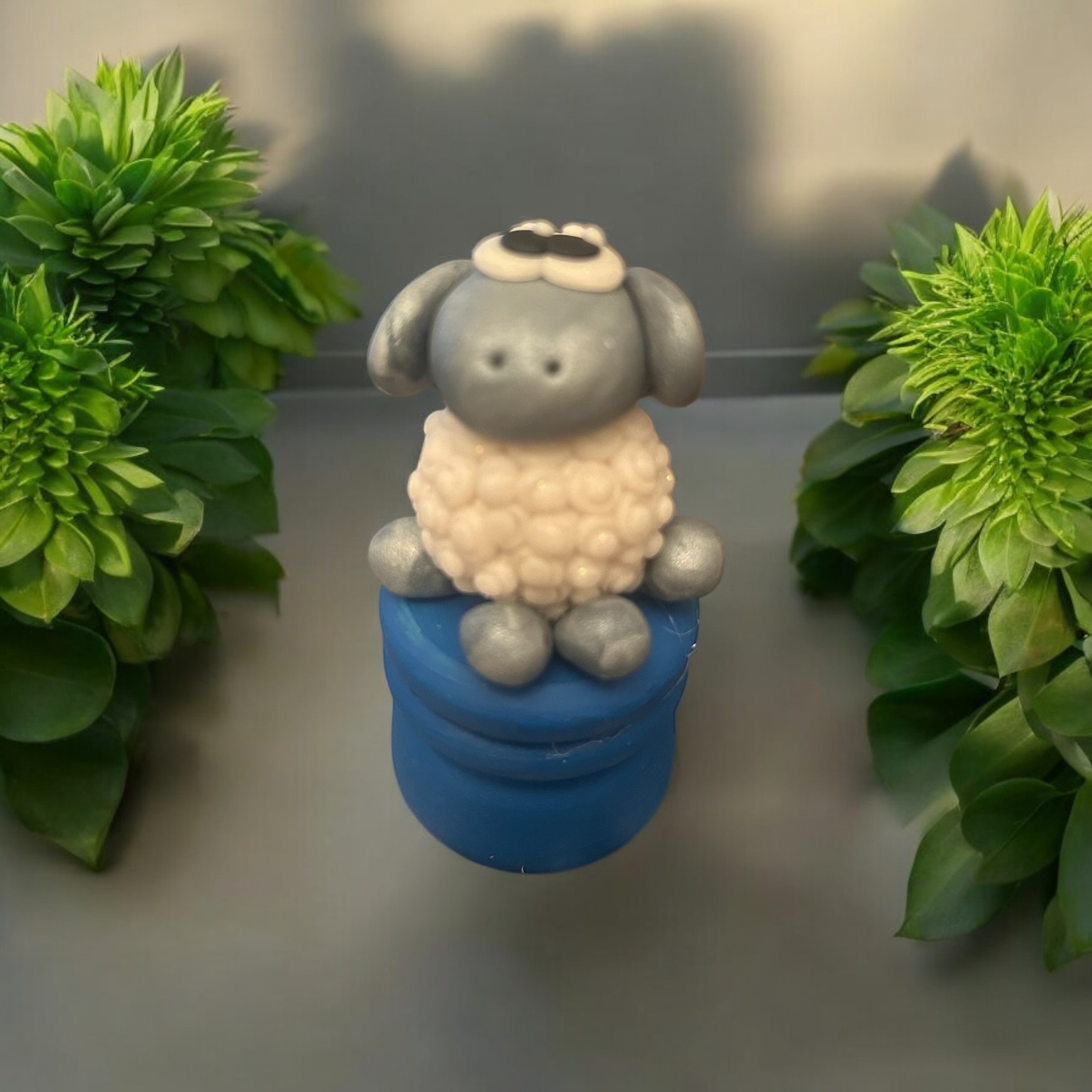 Image supplémentaire