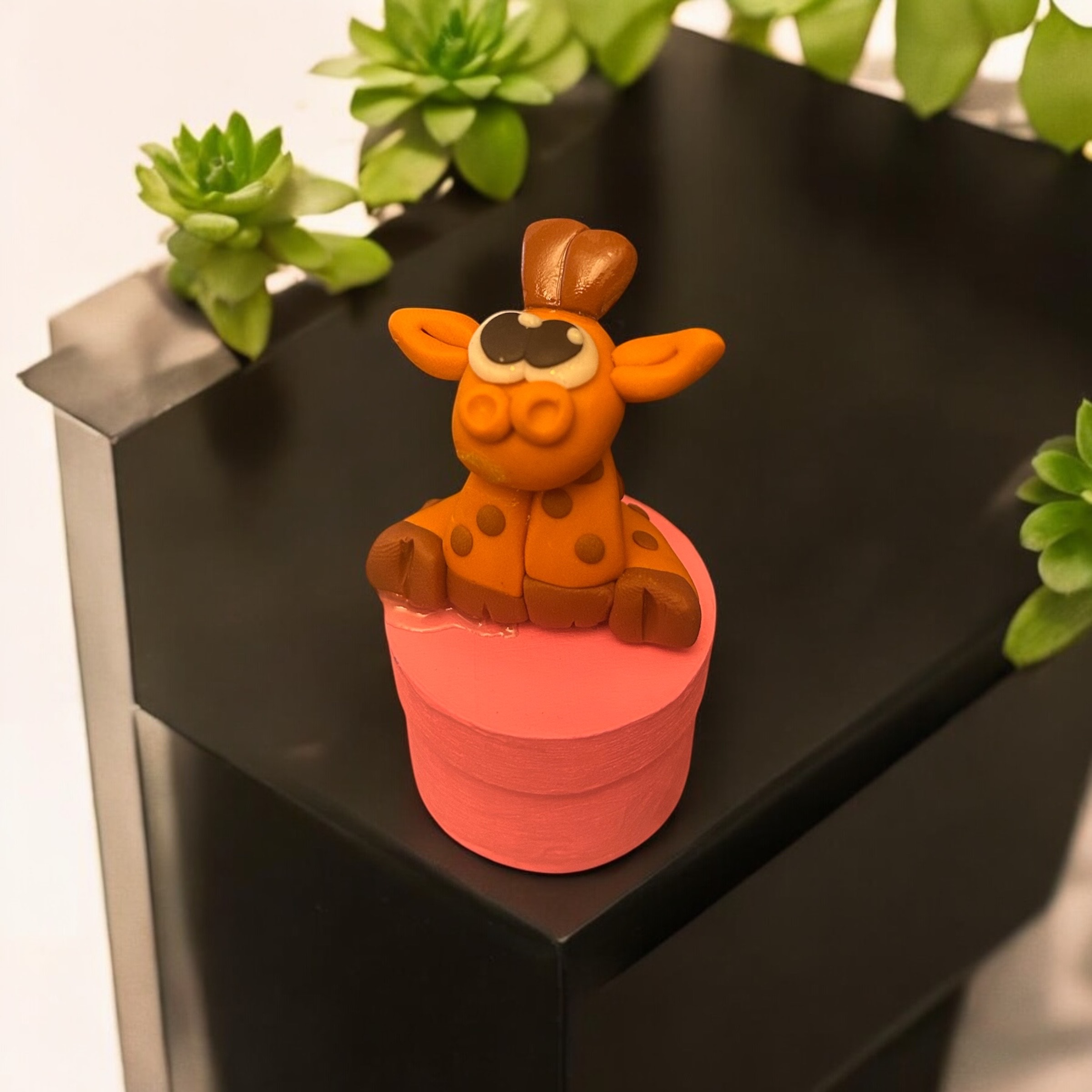 Image supplémentaire