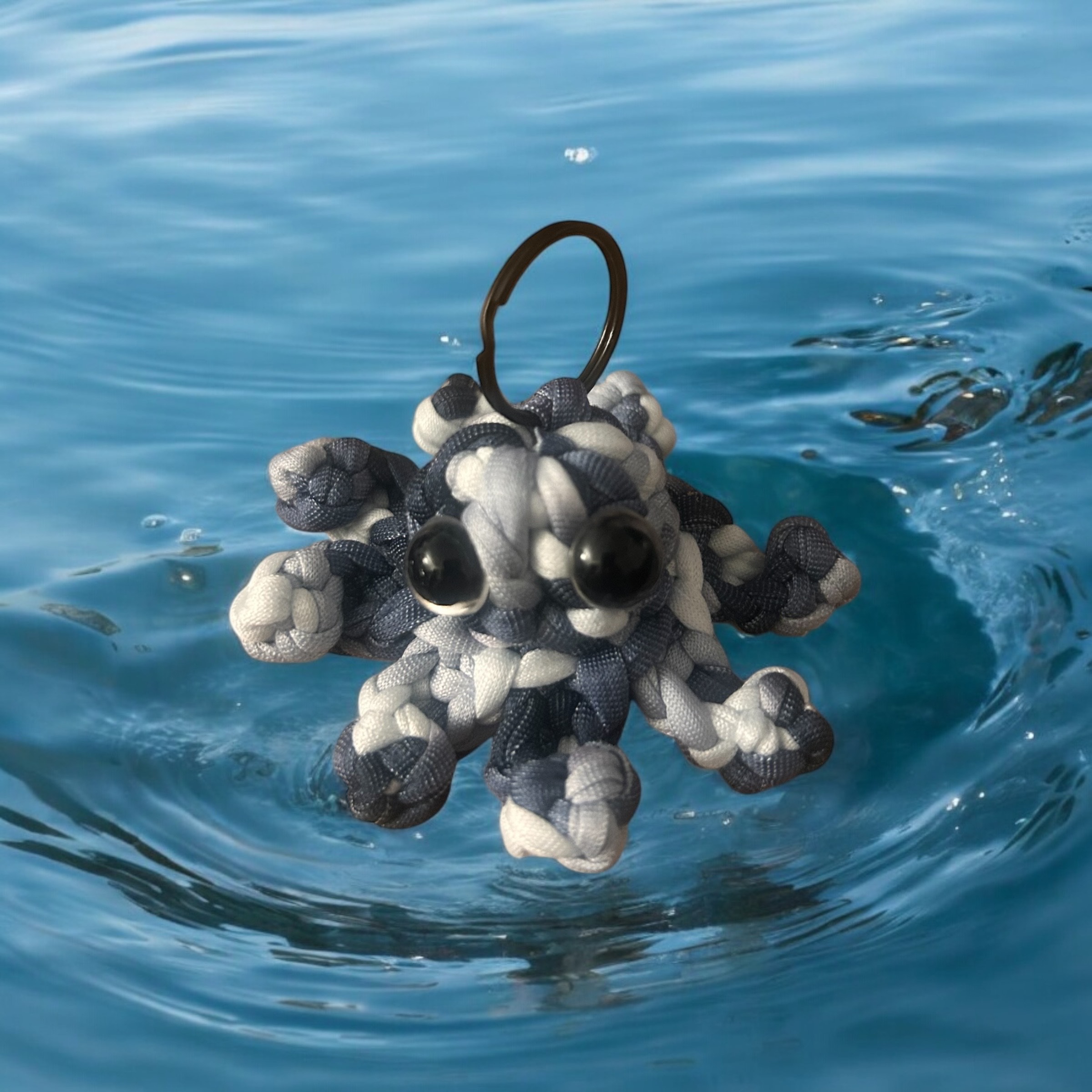 Image supplémentaire