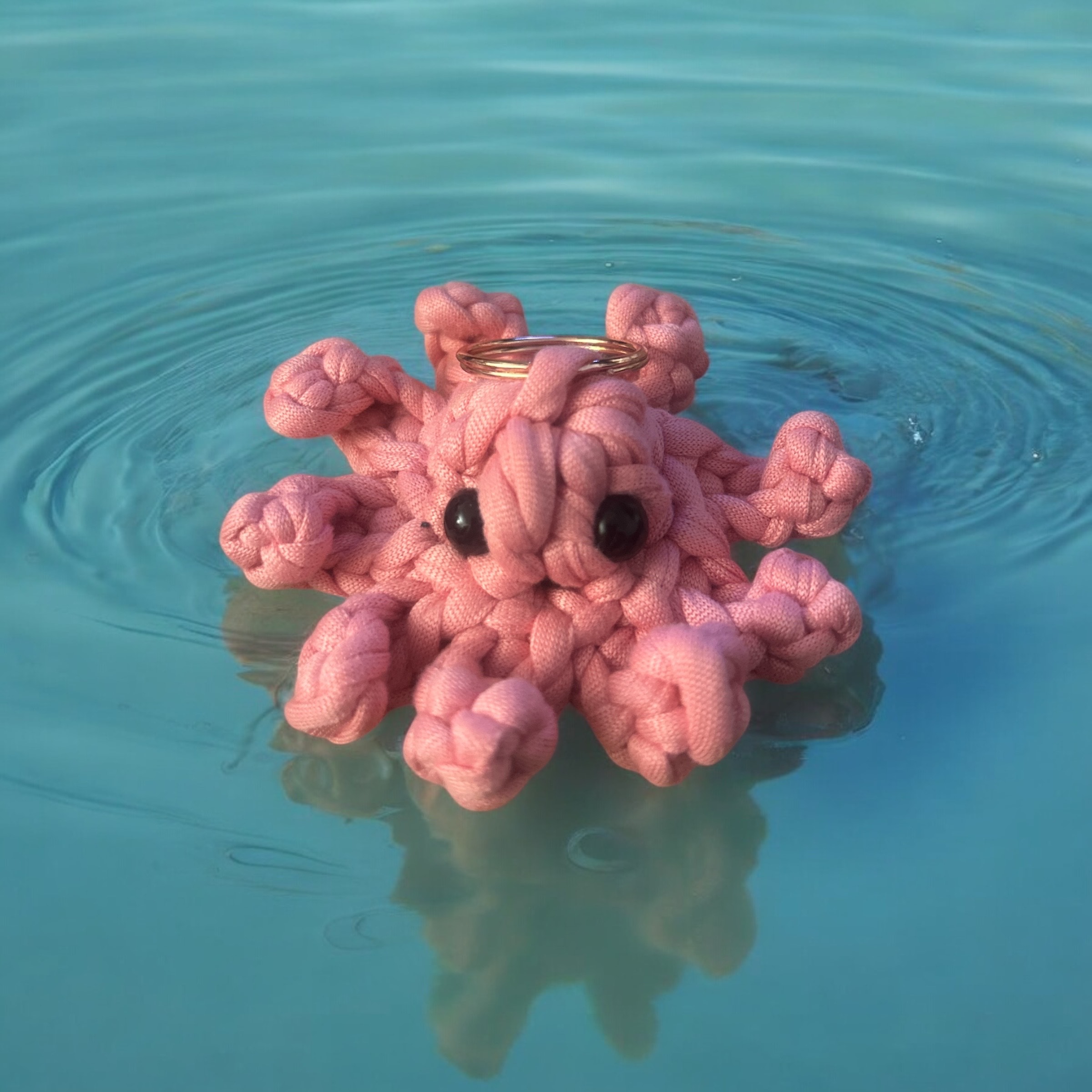 Image supplémentaire