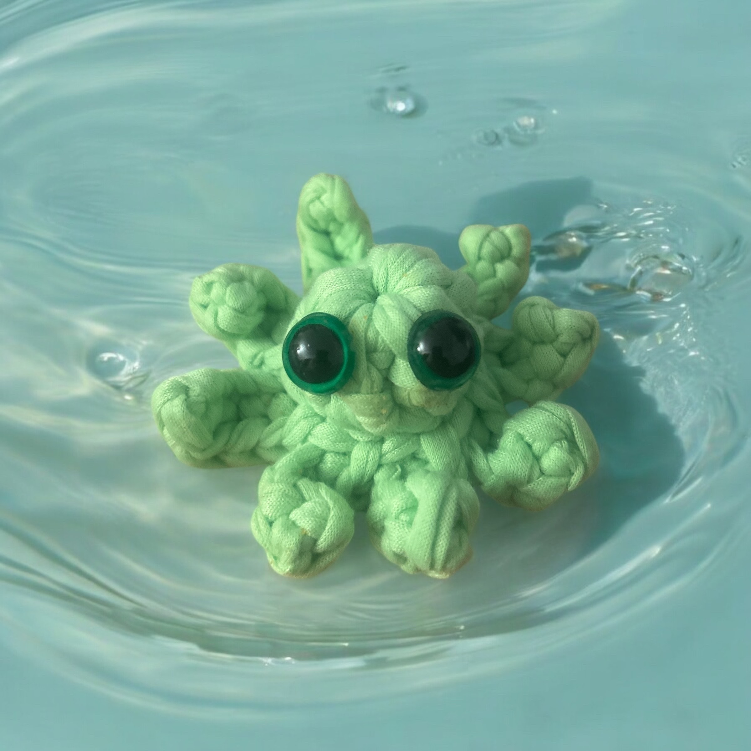 Image supplémentaire