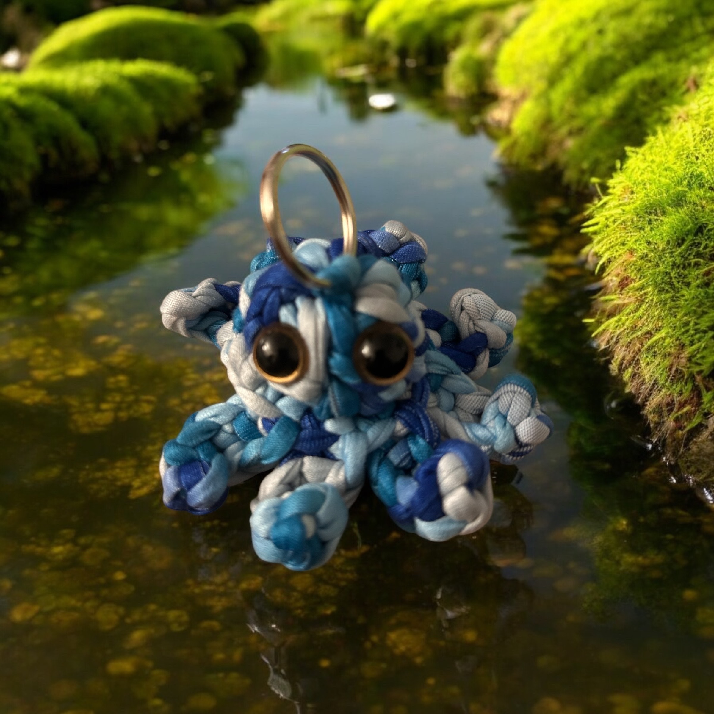 Image supplémentaire