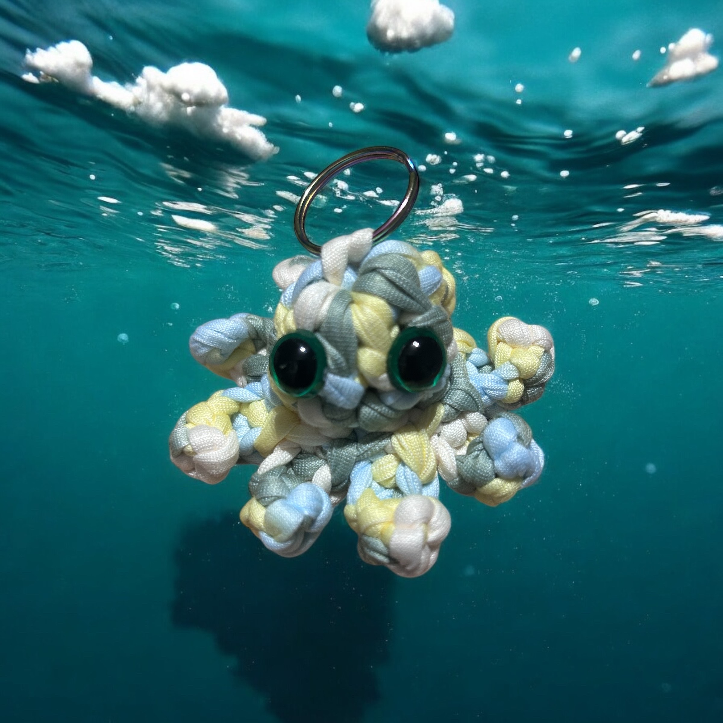 Image supplémentaire