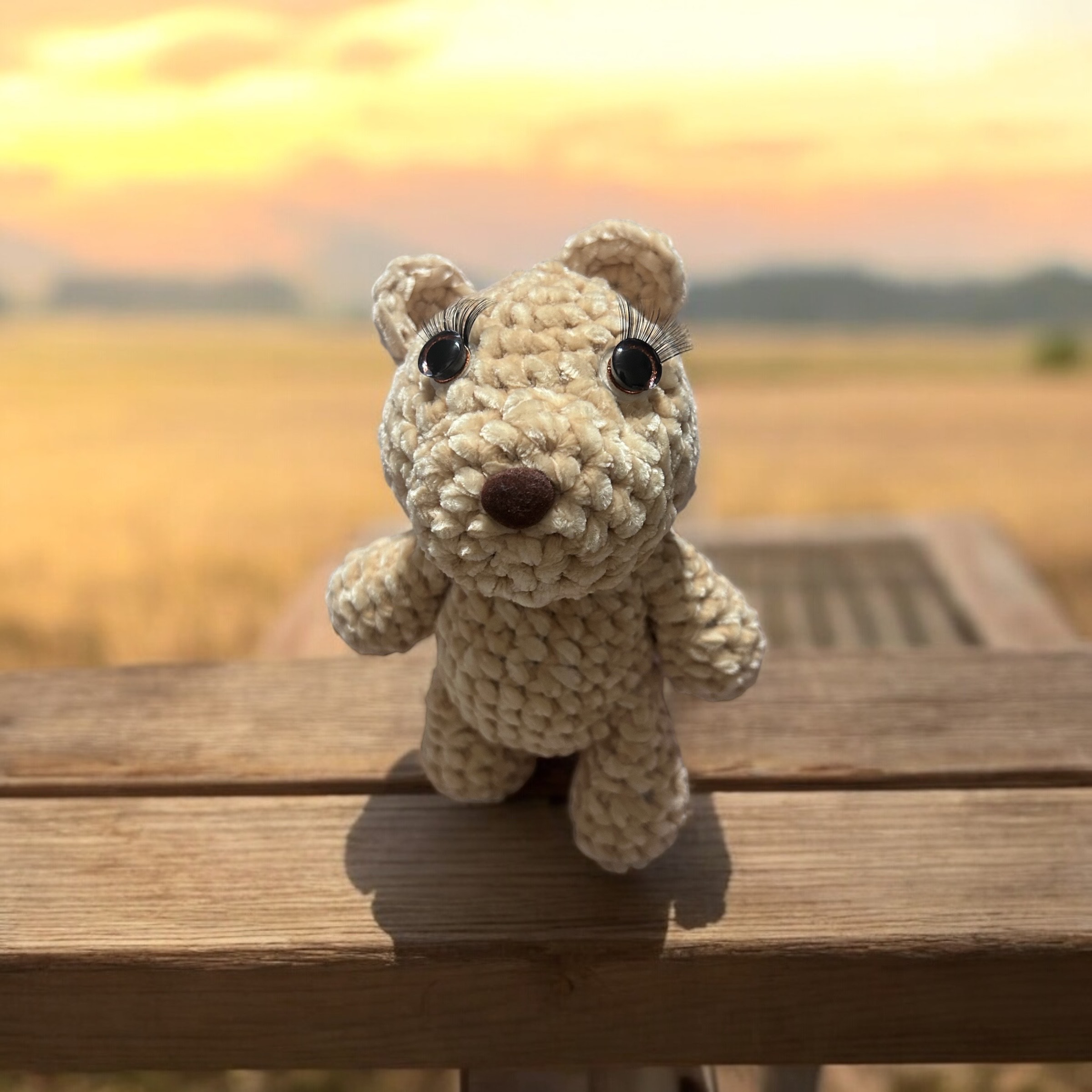 Image supplémentaire