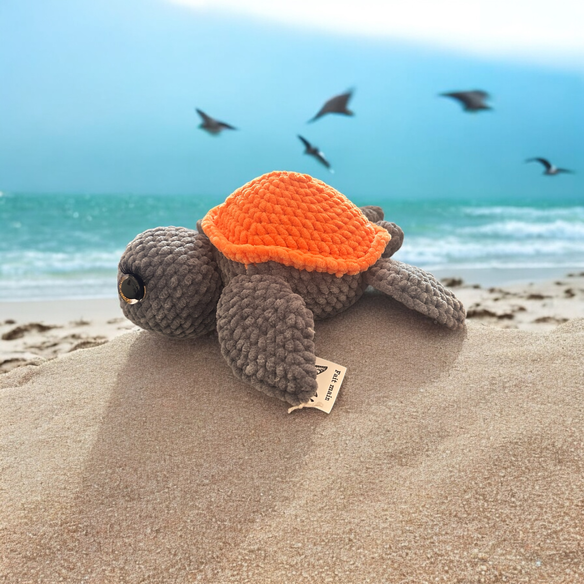 Image supplémentaire