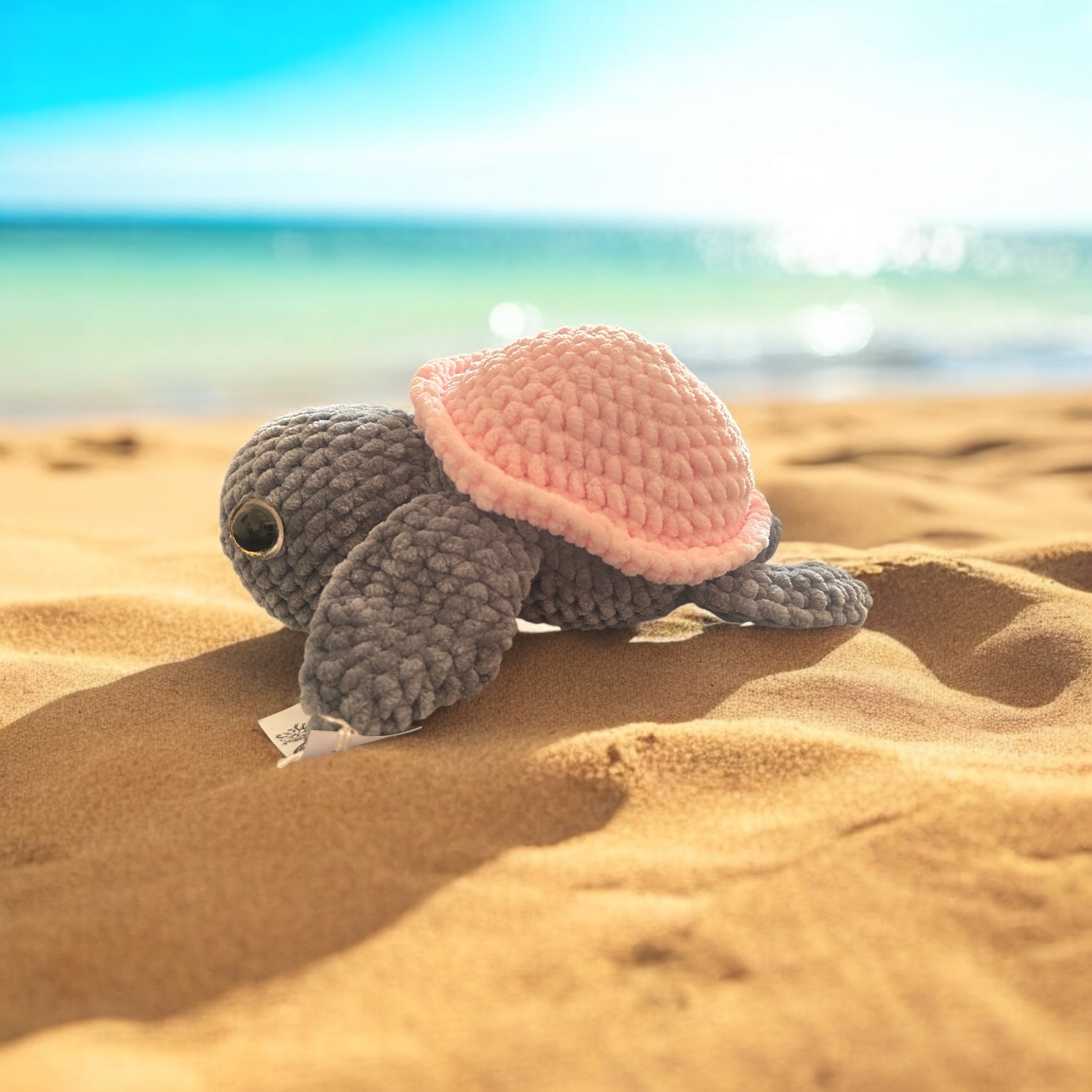 Image supplémentaire