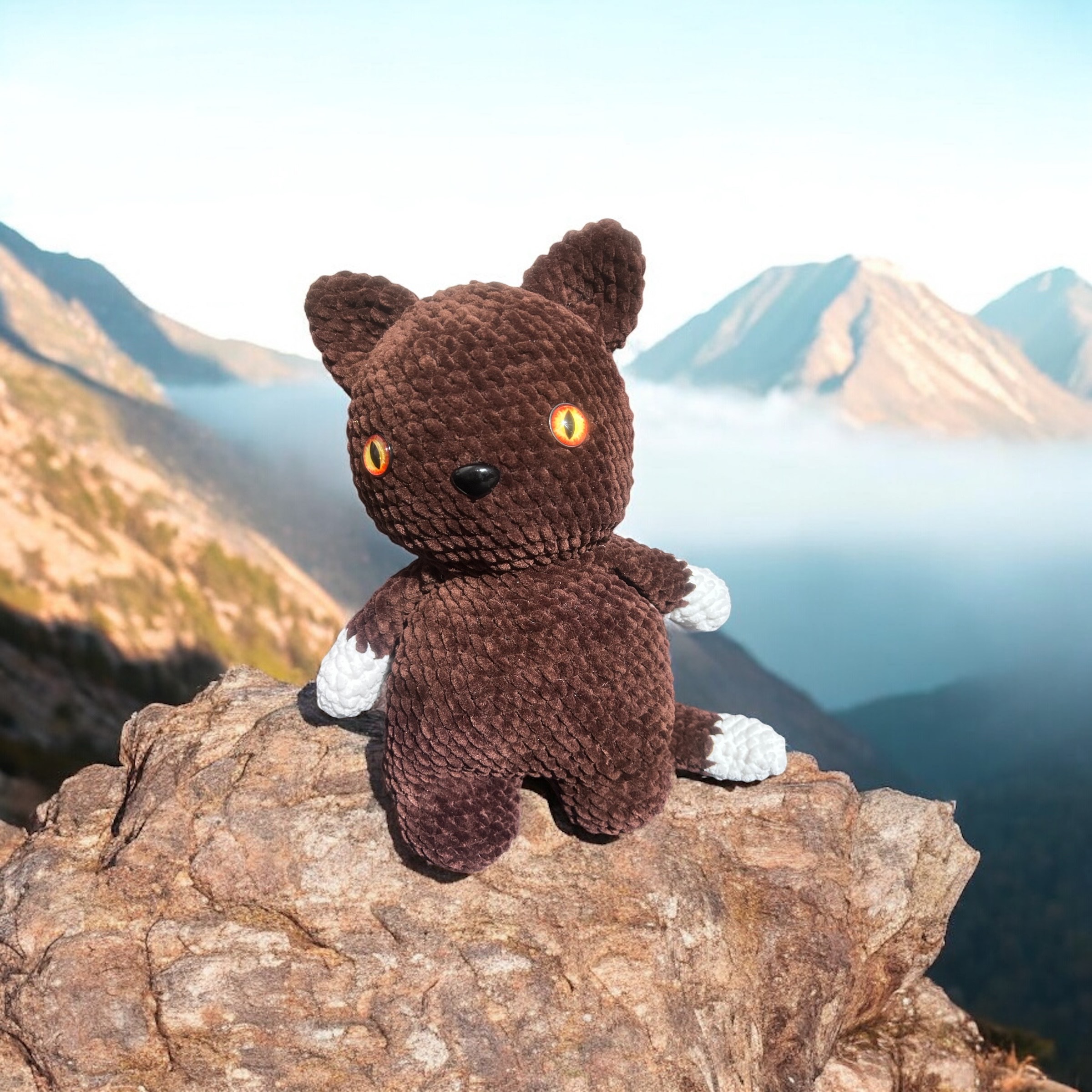 Image supplémentaire