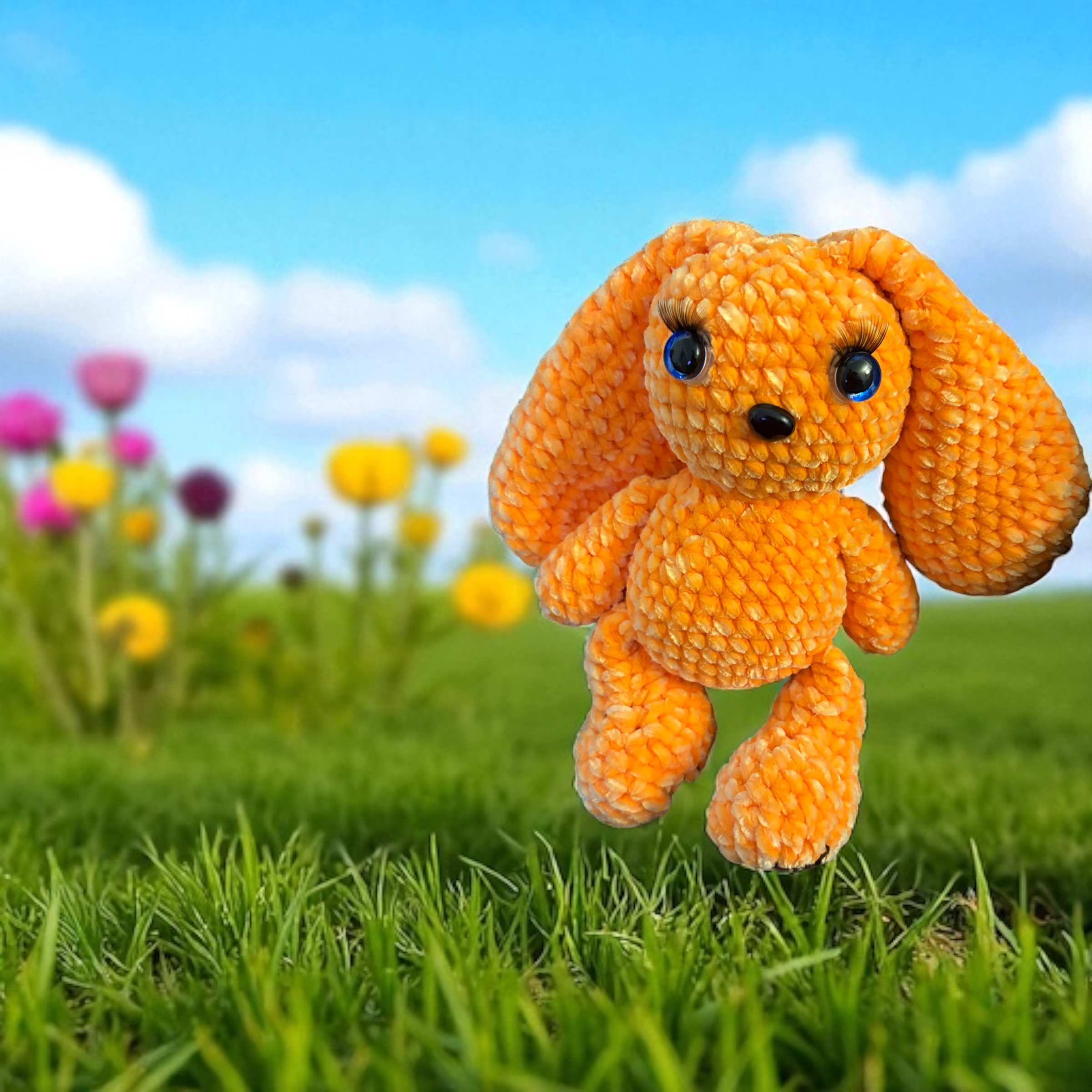 Image supplémentaire