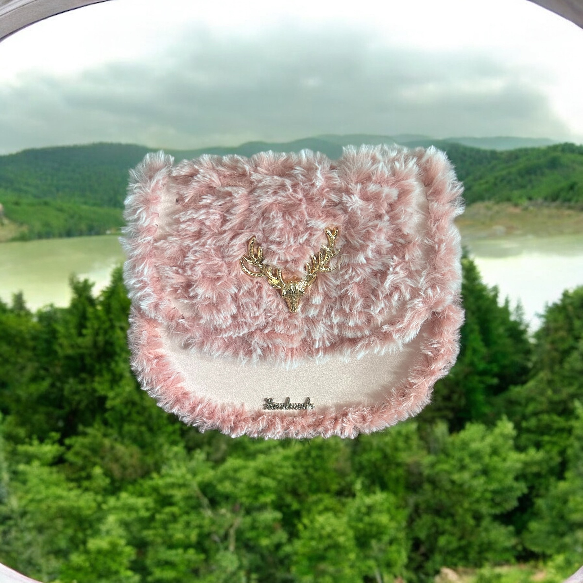 Image supplémentaire