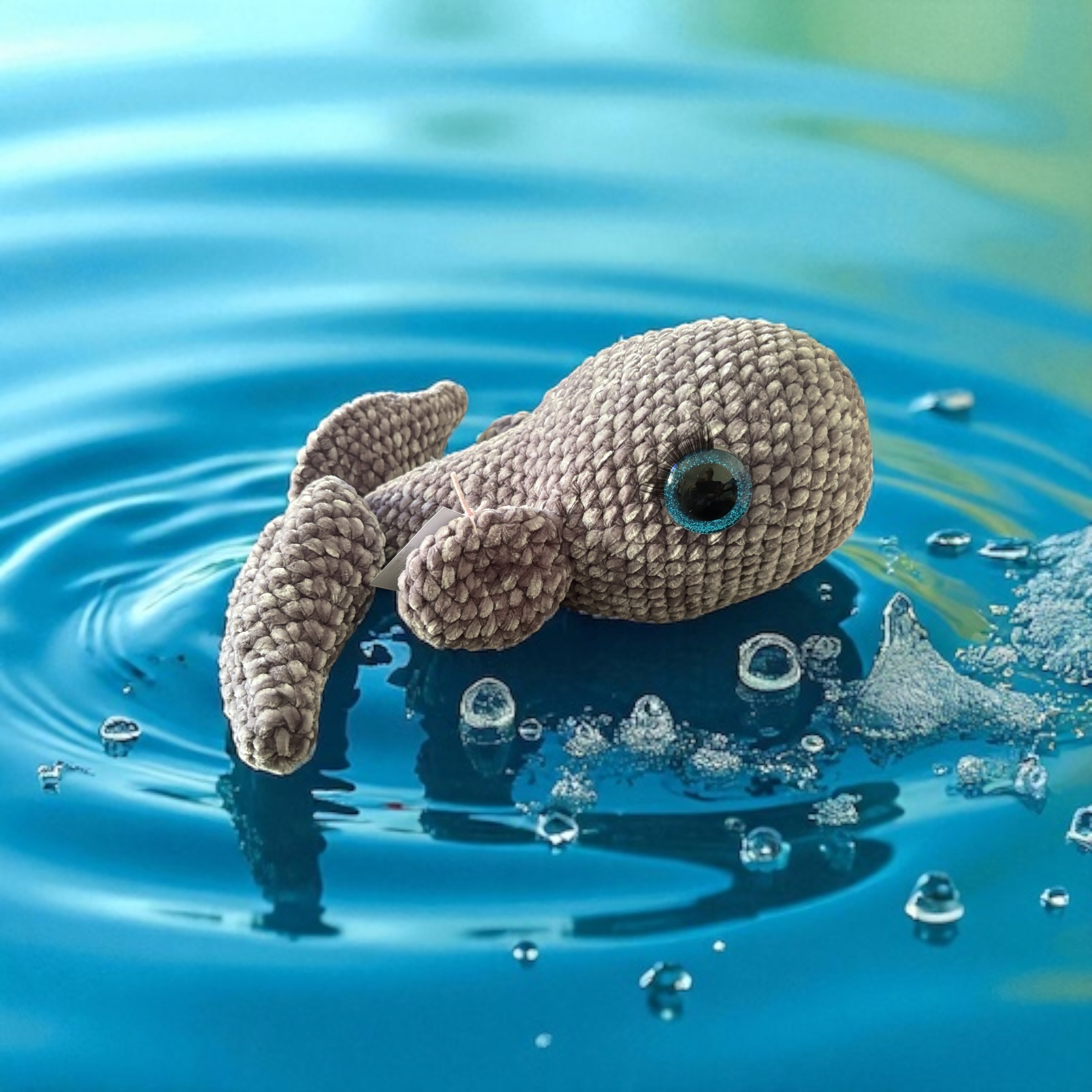 Image supplémentaire