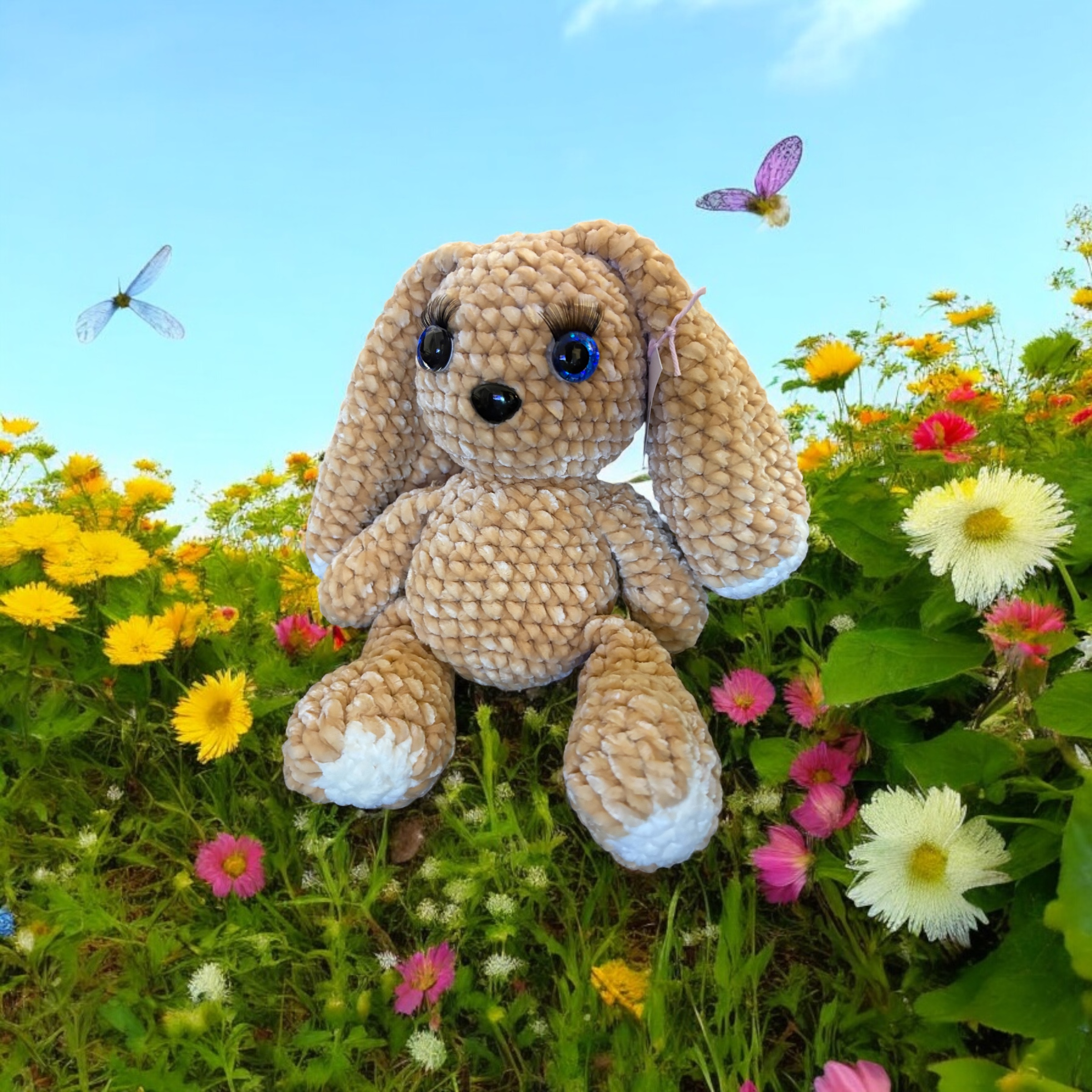 Image supplémentaire