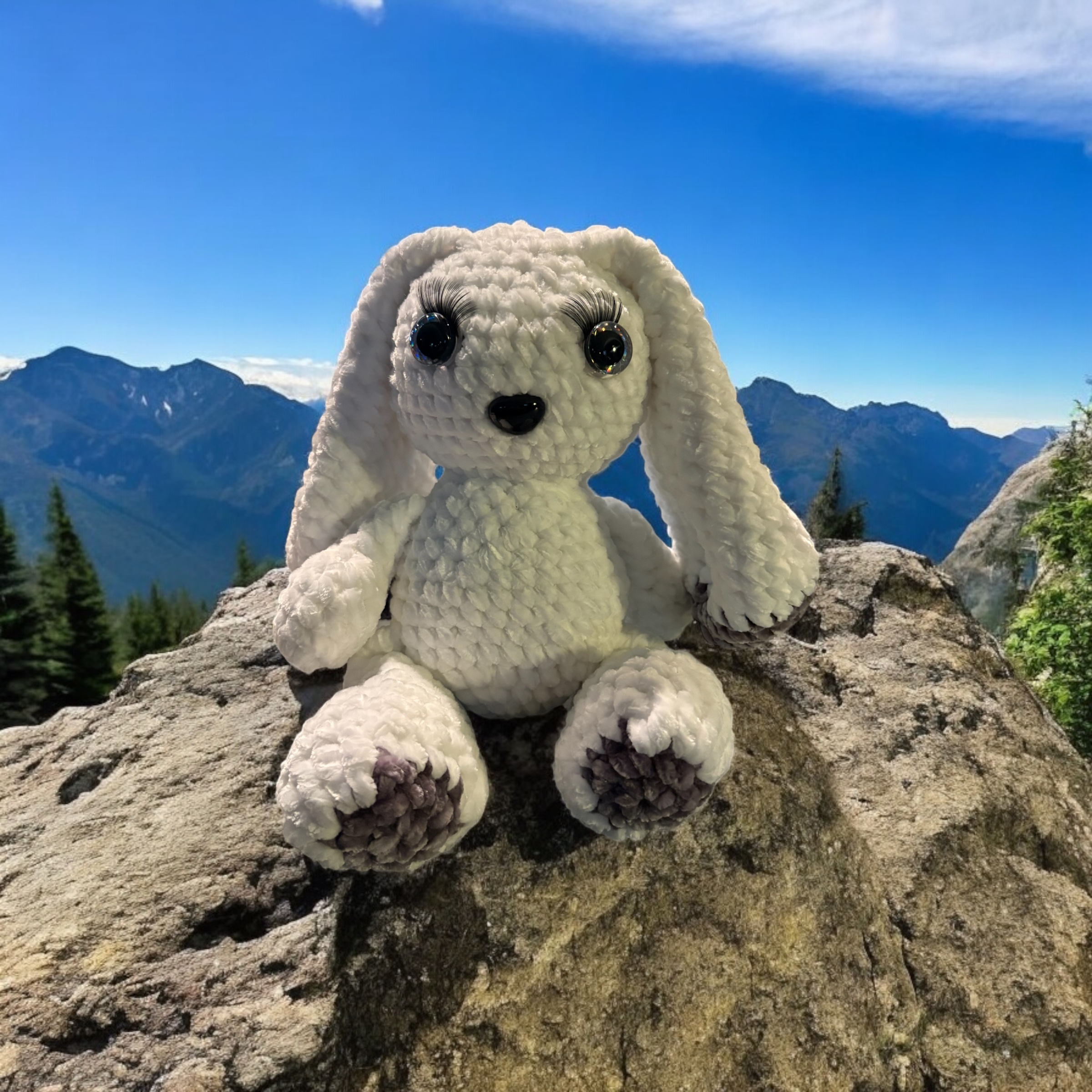 Image supplémentaire