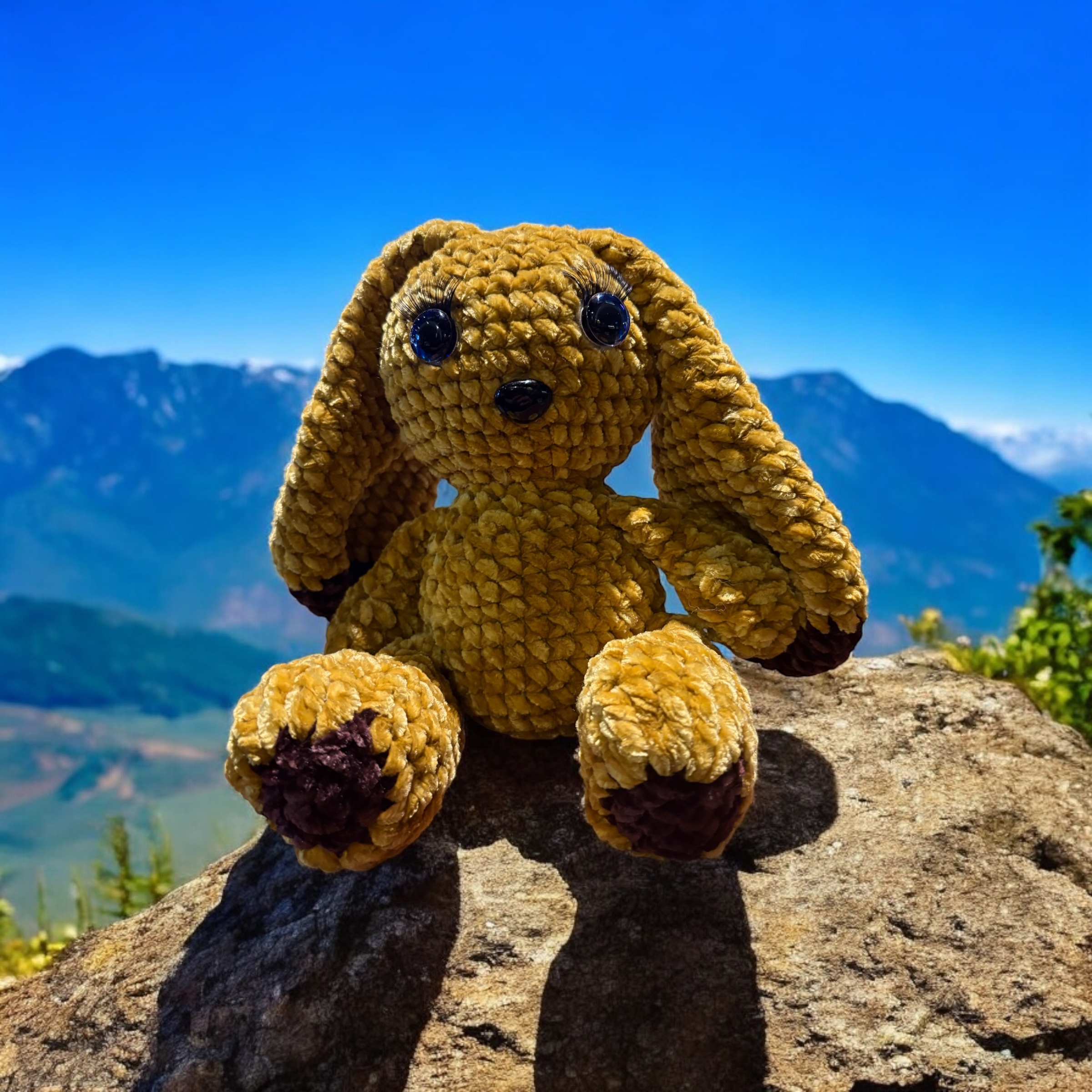 Image supplémentaire