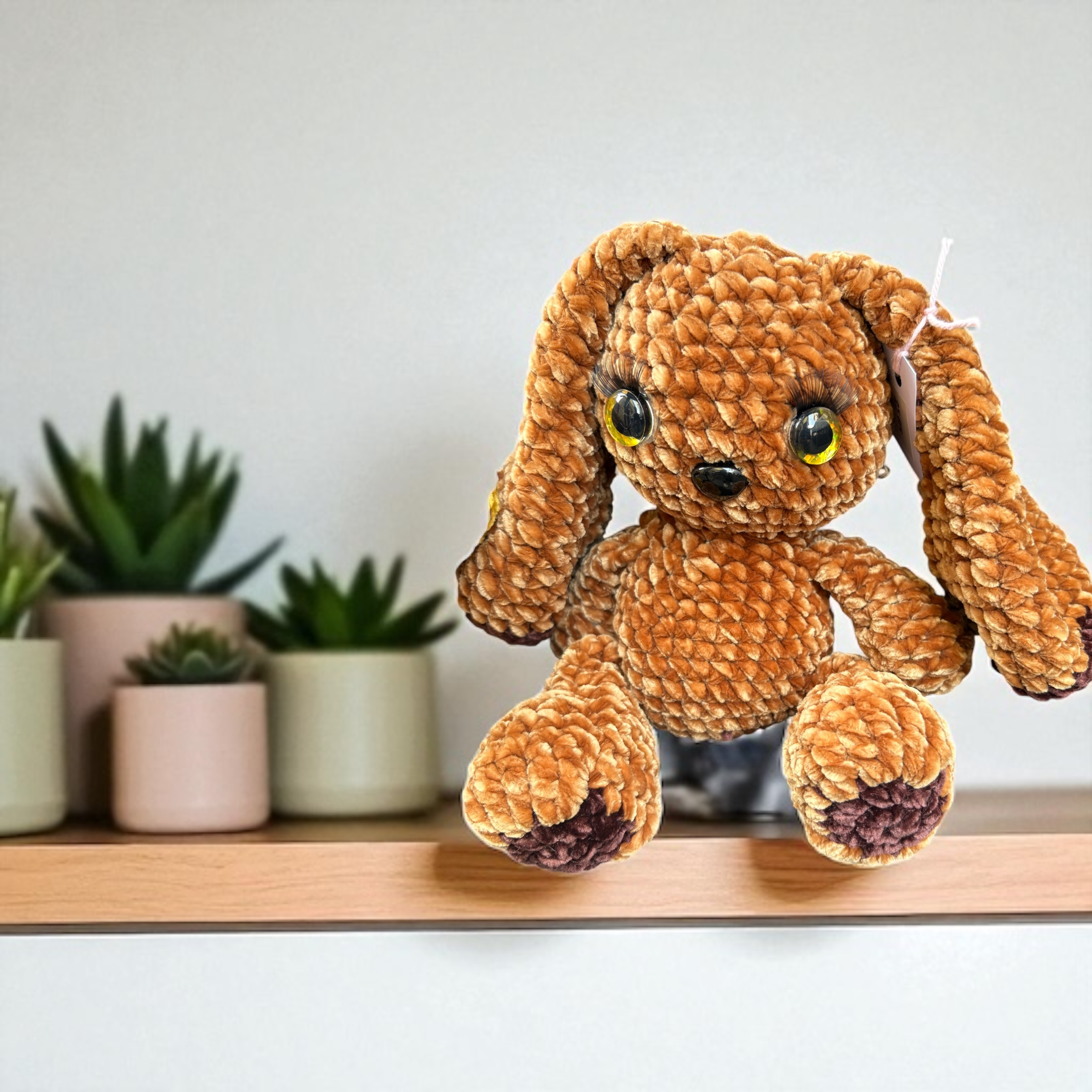 Image supplémentaire