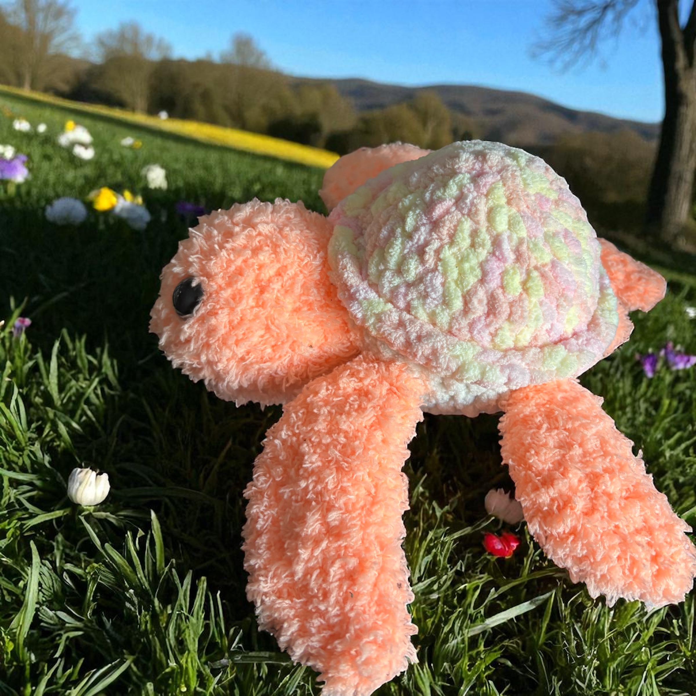 Image supplémentaire