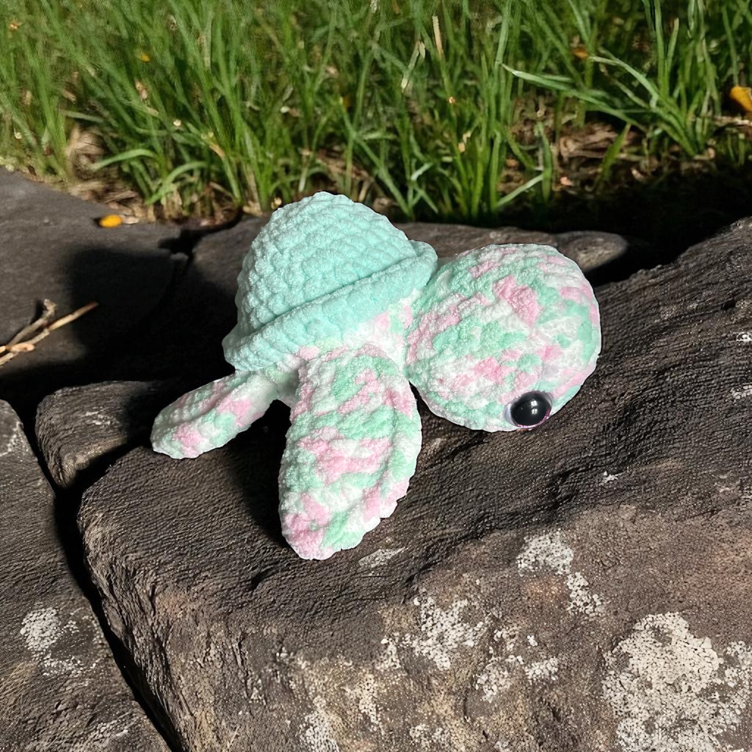 Image supplémentaire