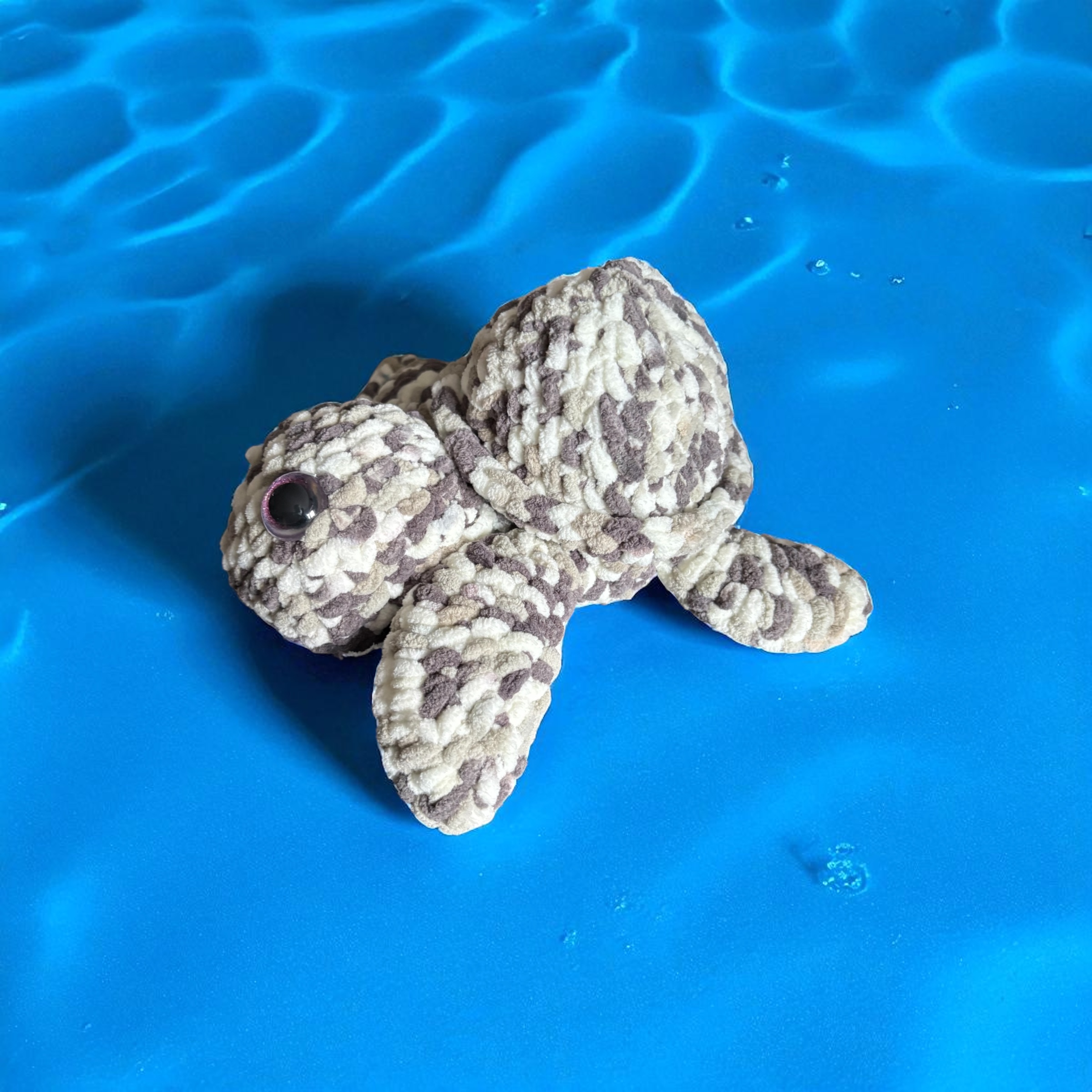 Image supplémentaire