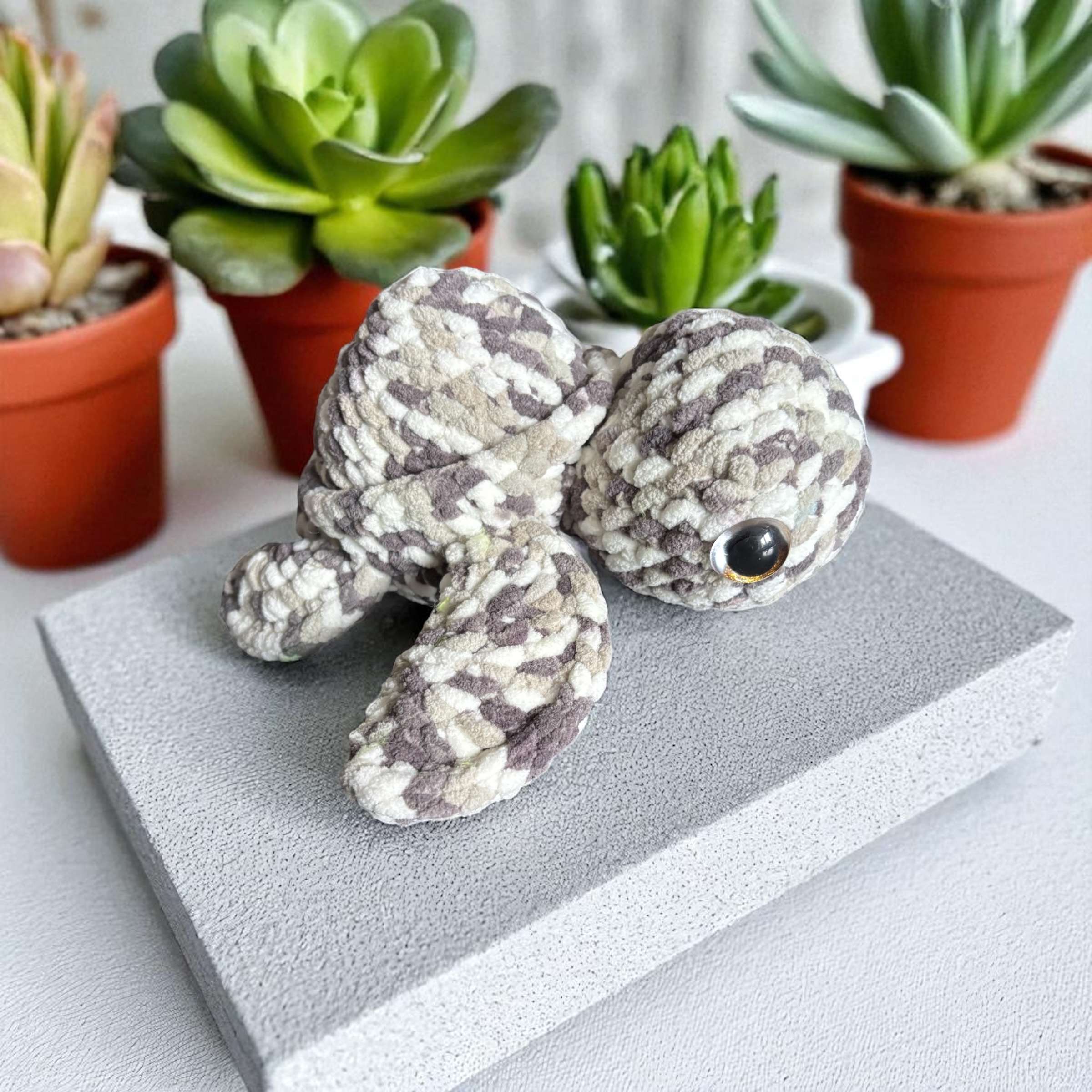 Image supplémentaire