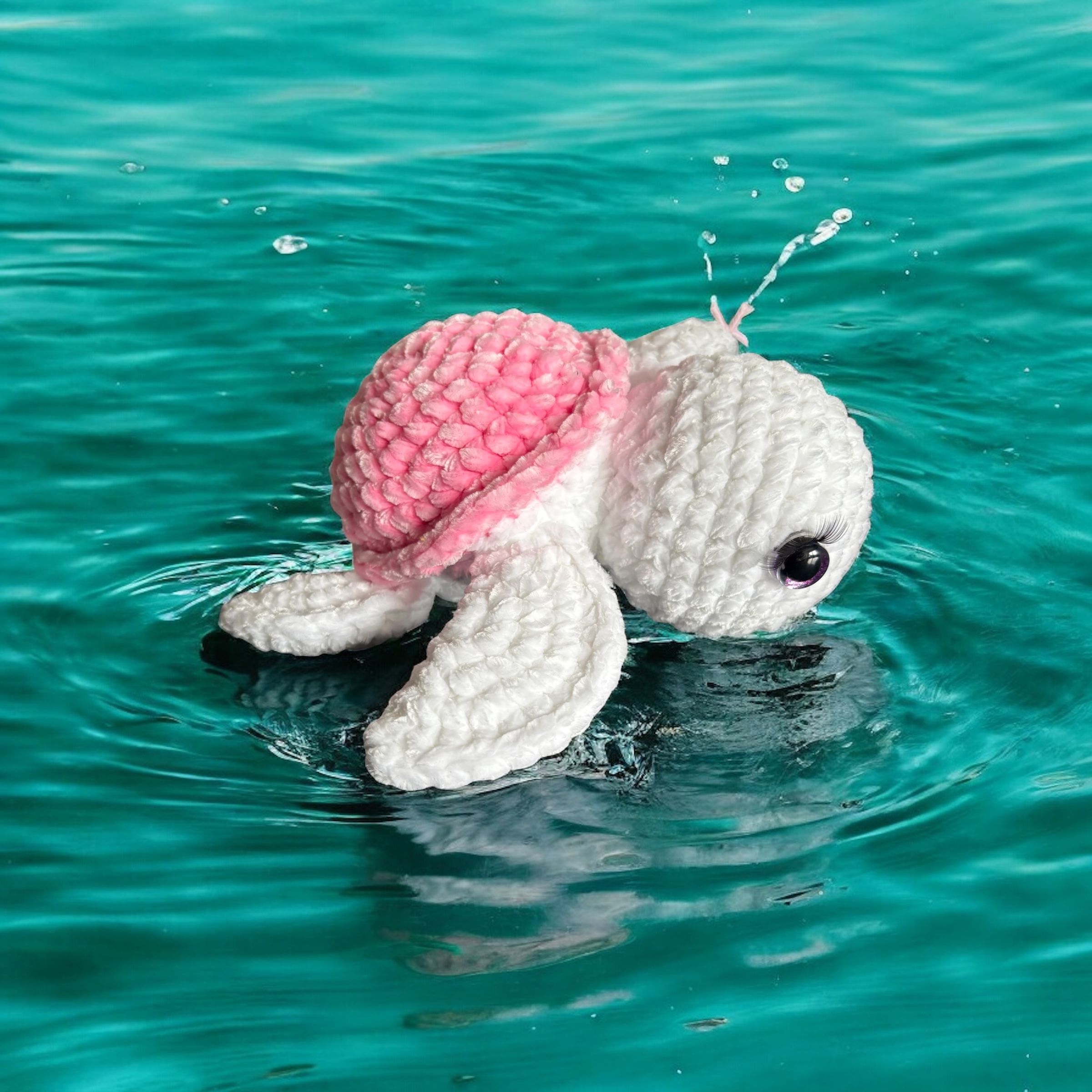 Image supplémentaire