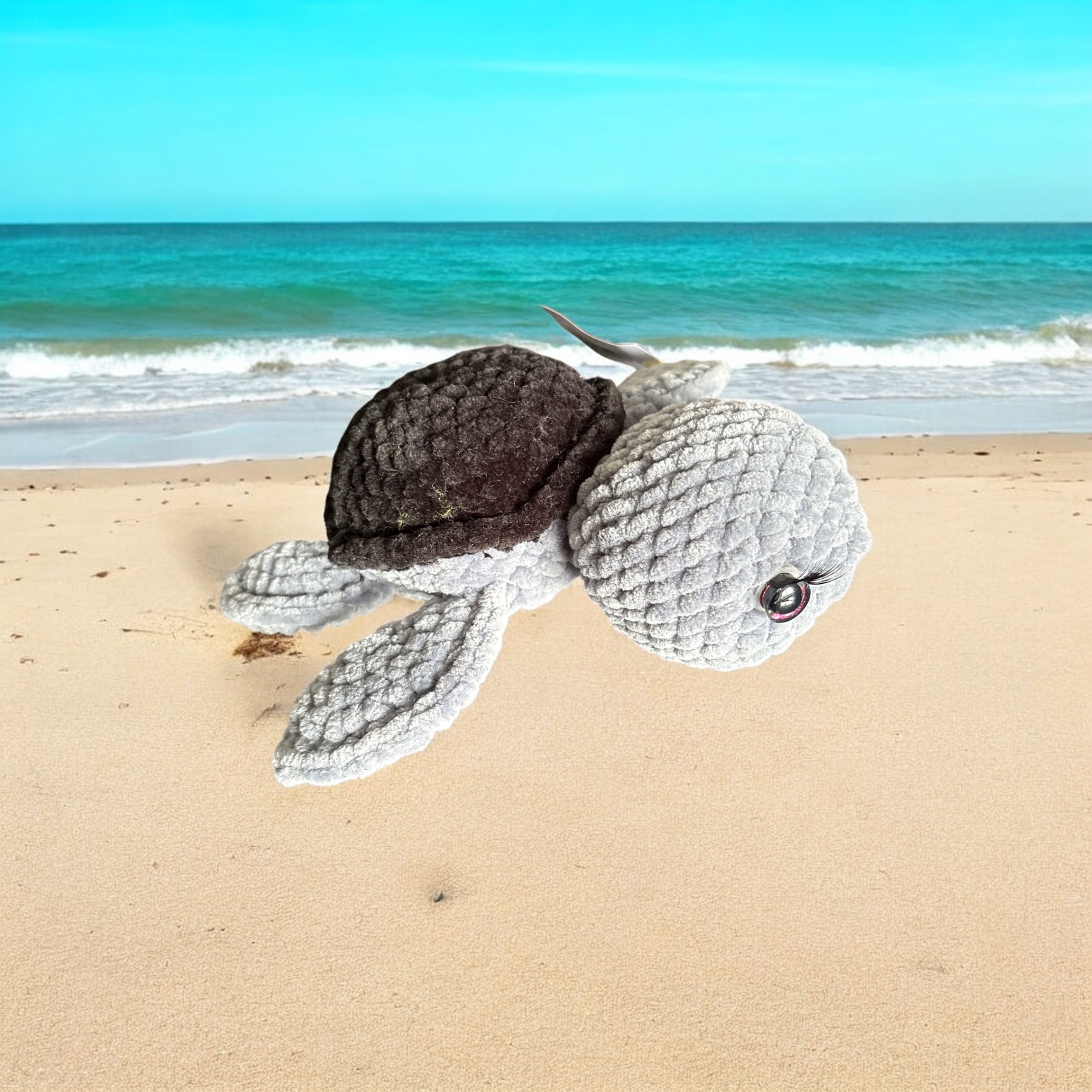 Image supplémentaire