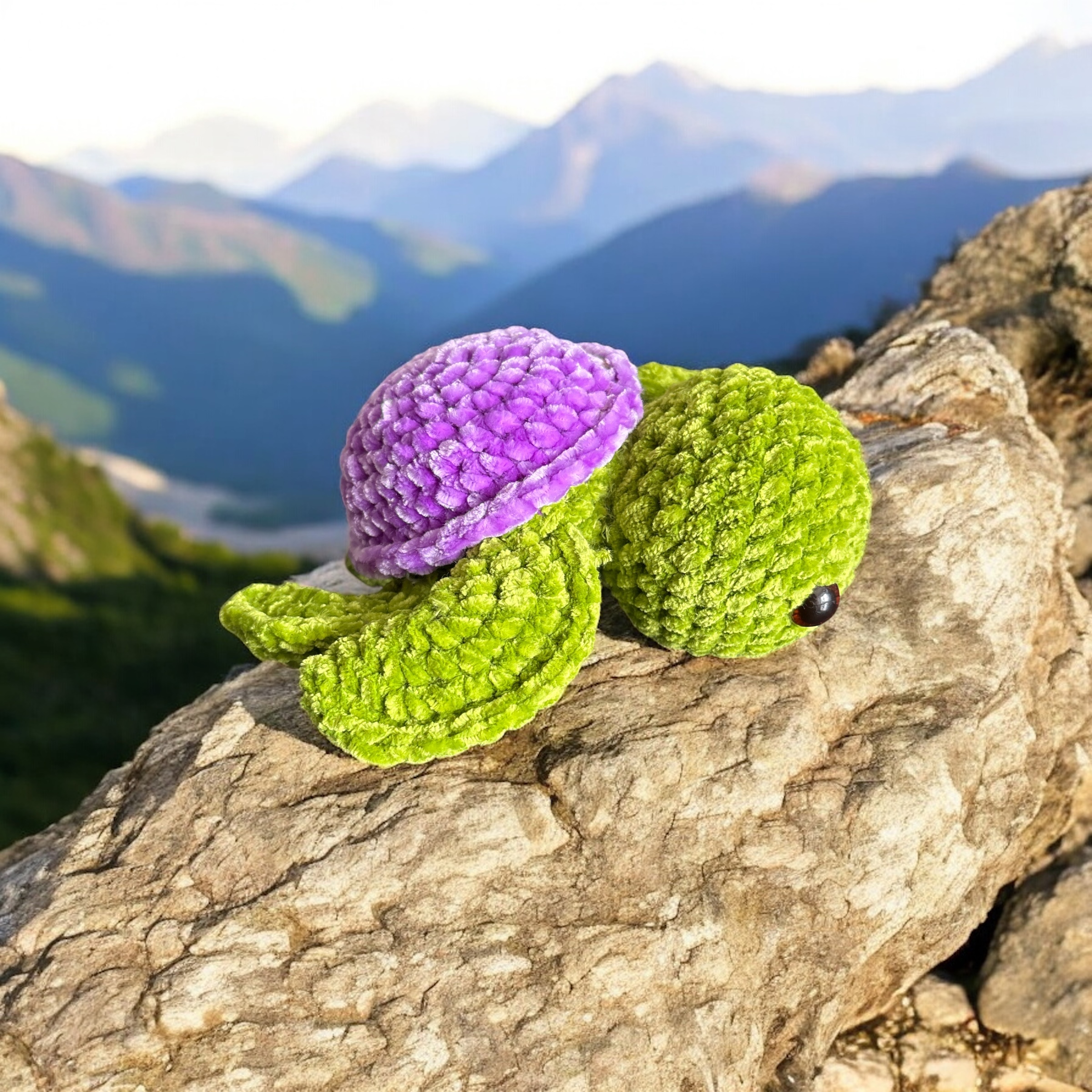 Image supplémentaire