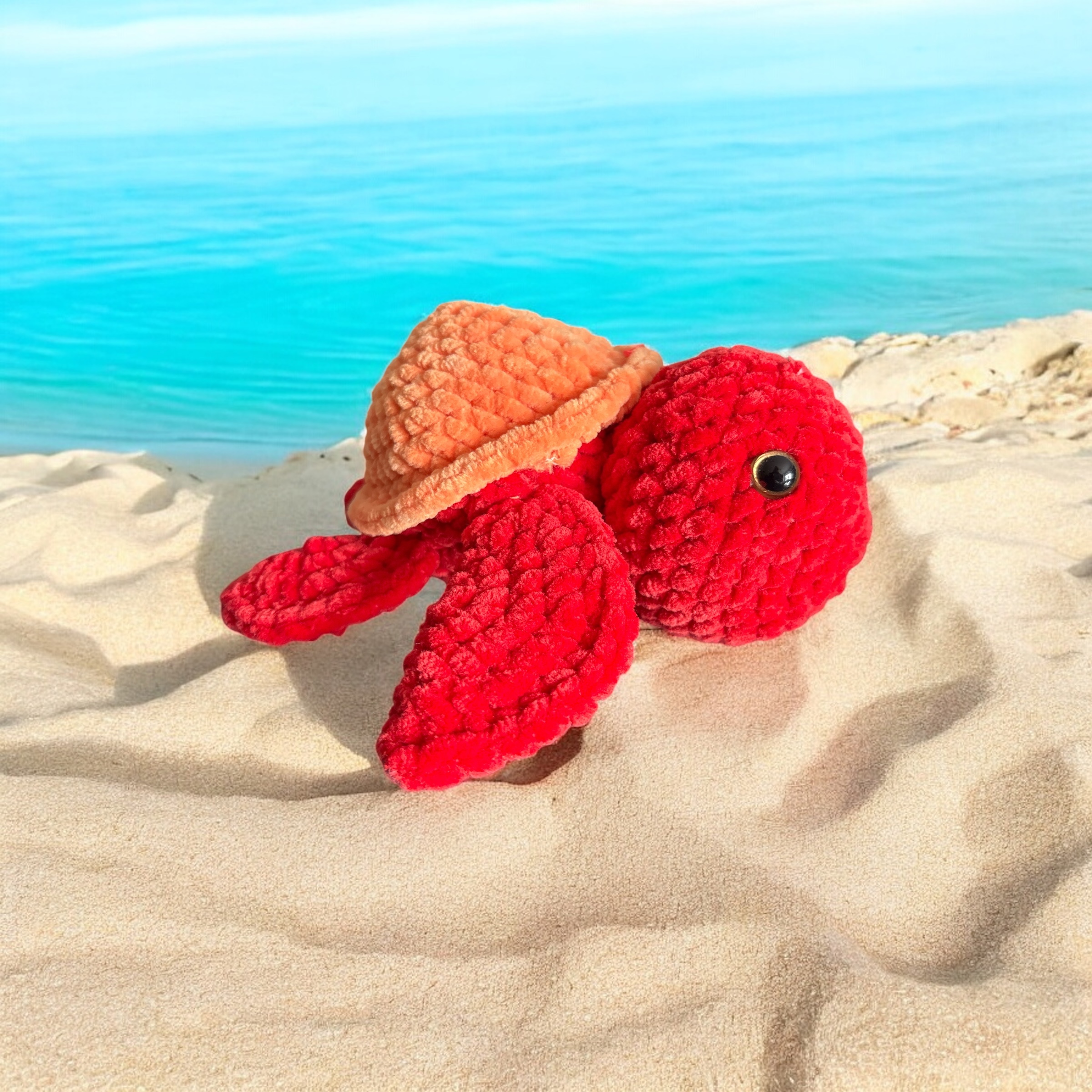 Image supplémentaire