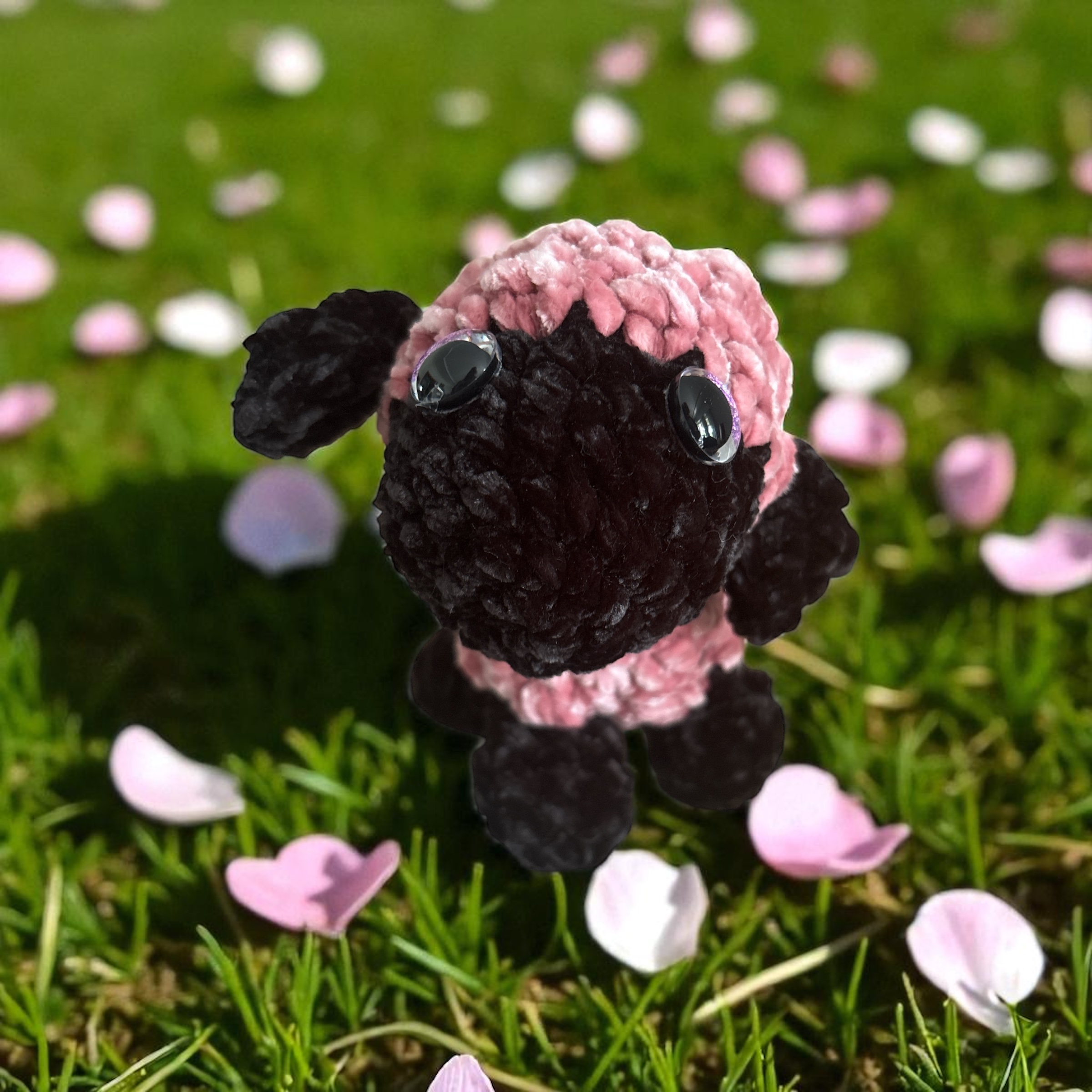 Image supplémentaire