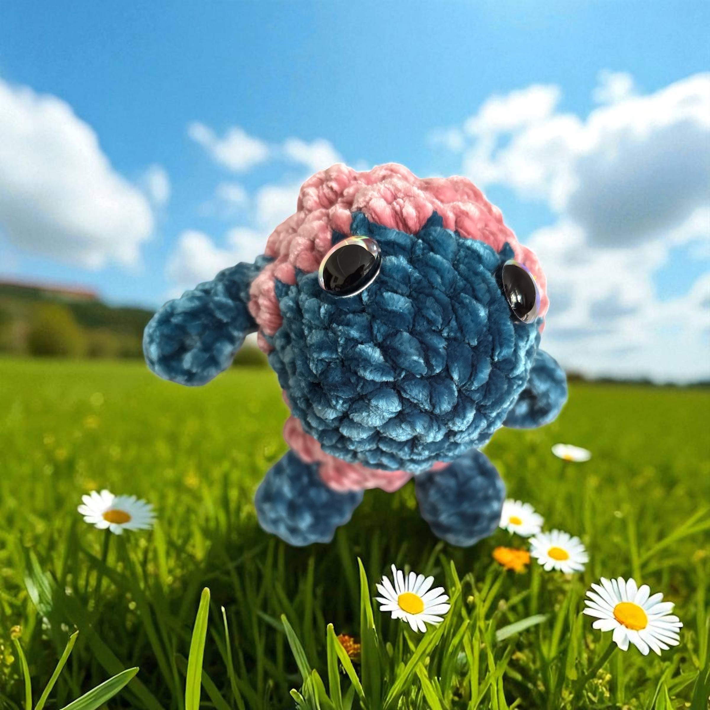 Image supplémentaire