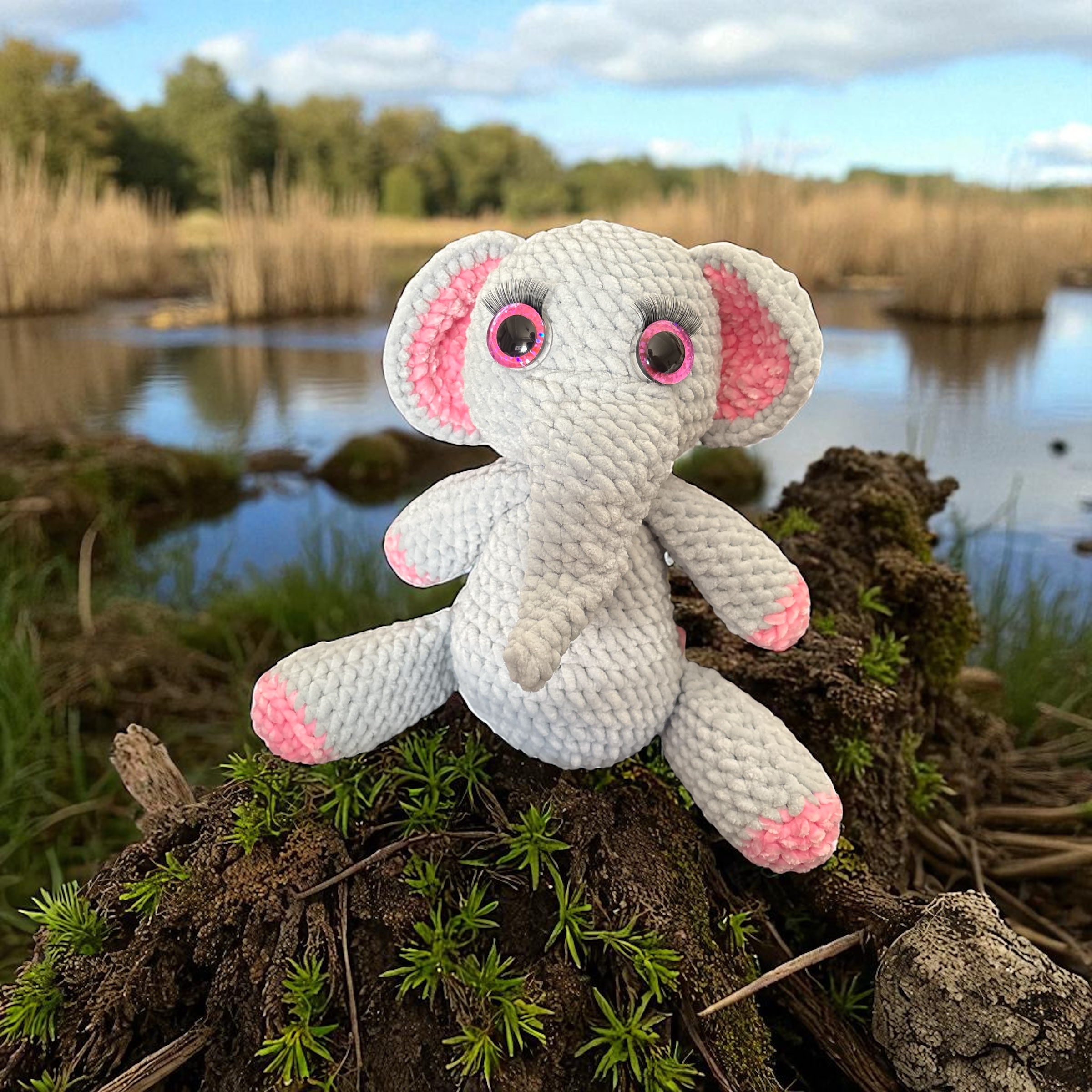 Image supplémentaire