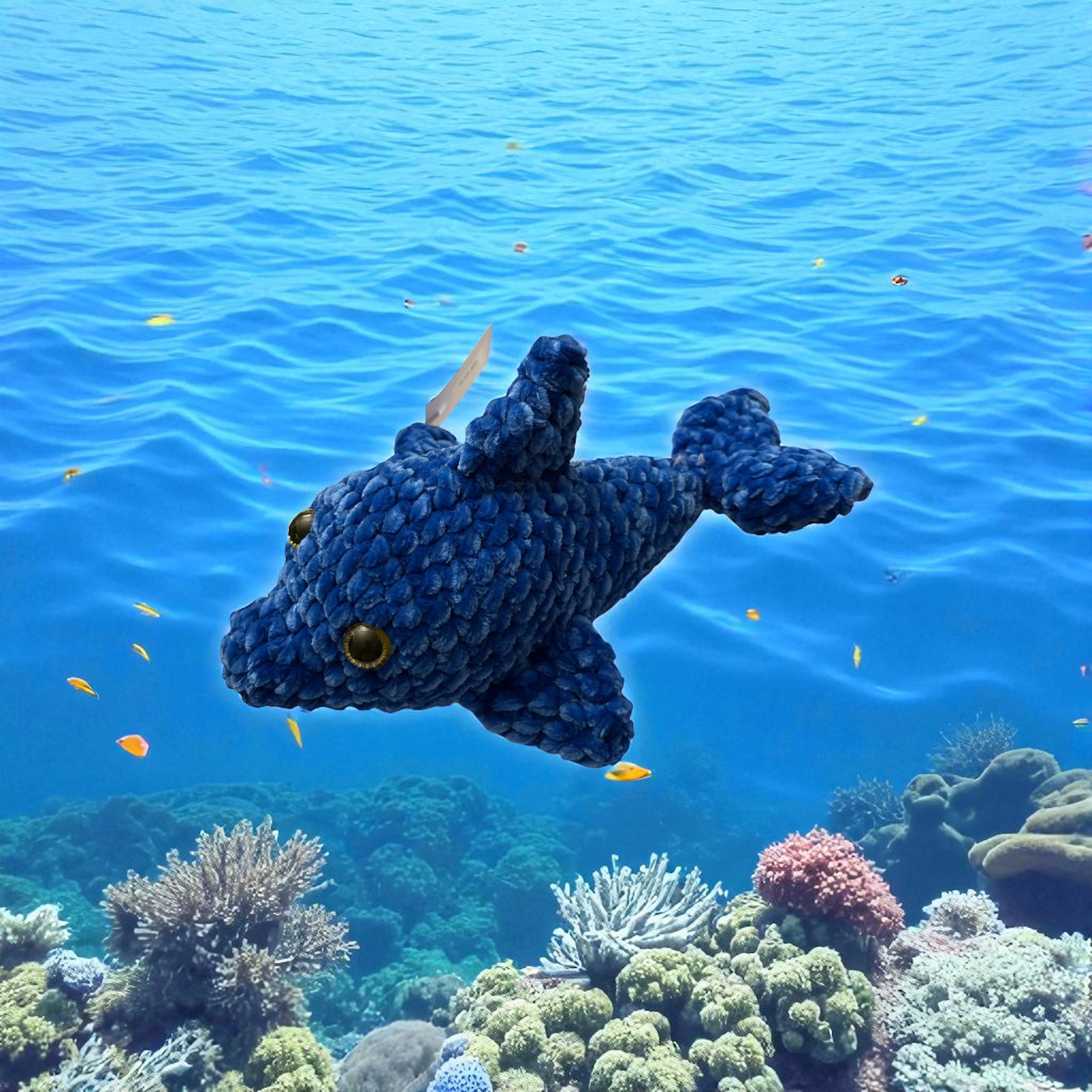 Image supplémentaire