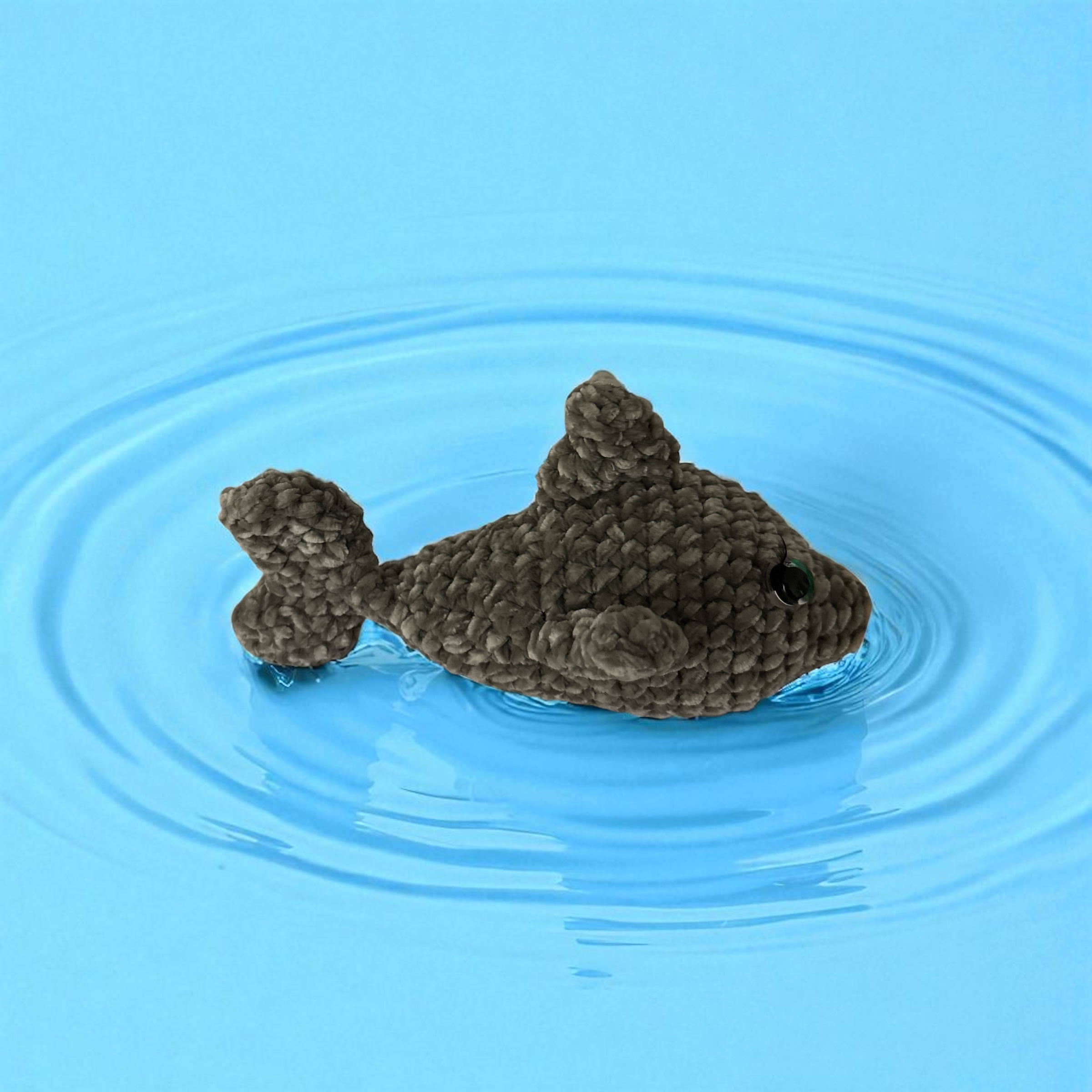 Image supplémentaire