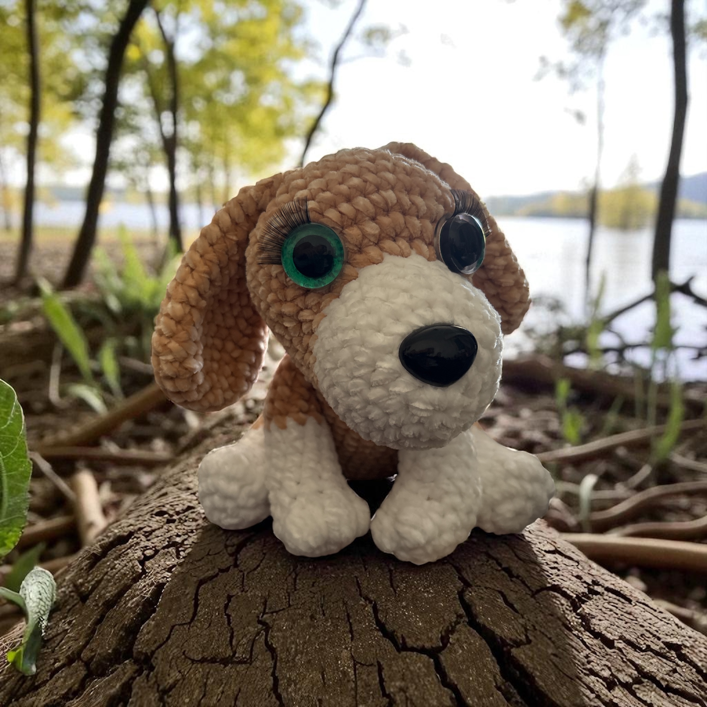 Image supplémentaire