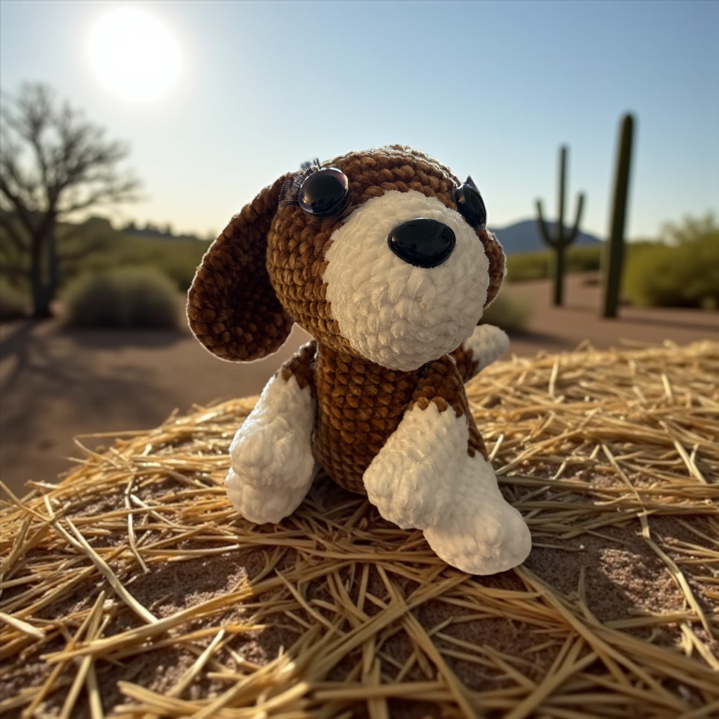 Image supplémentaire