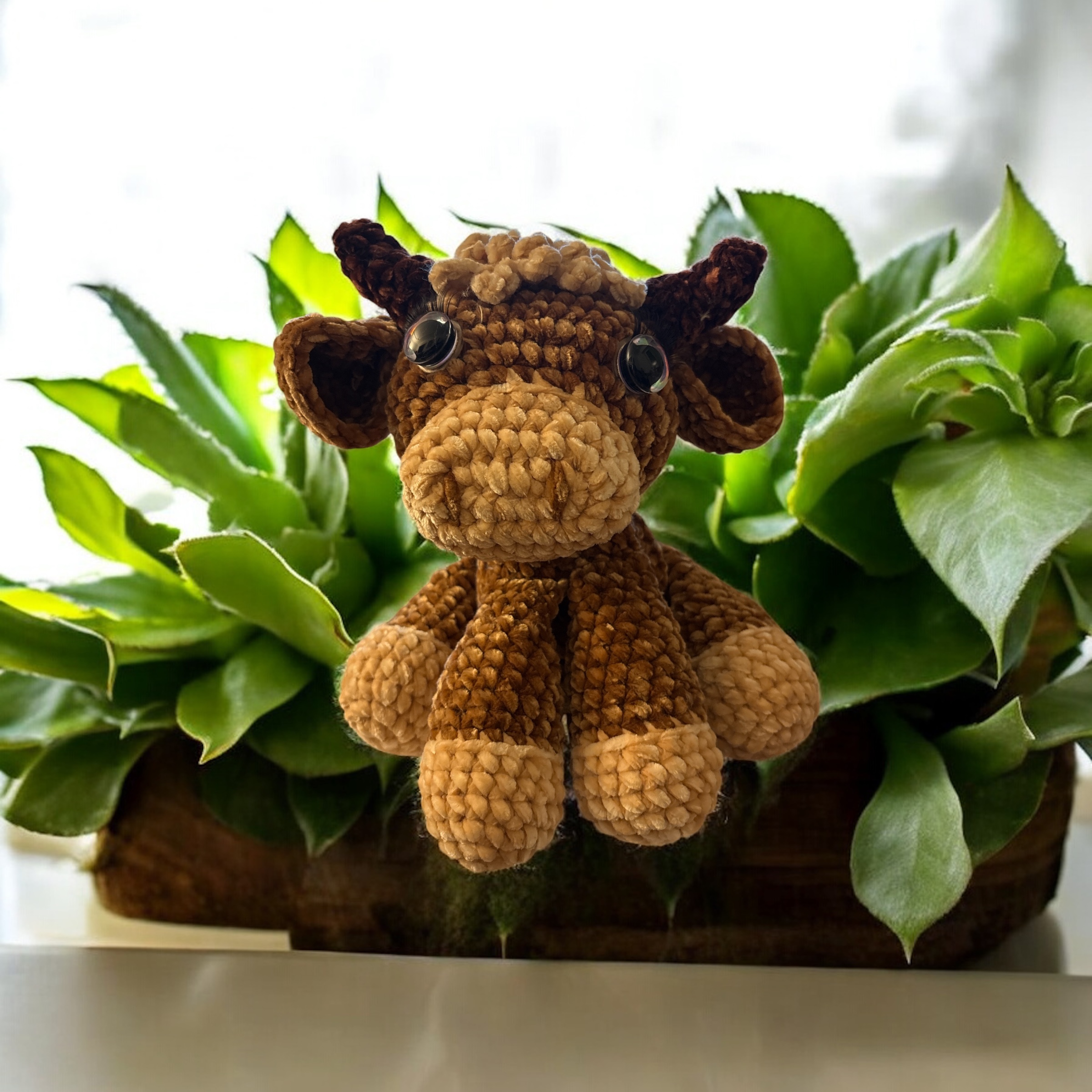 Image supplémentaire