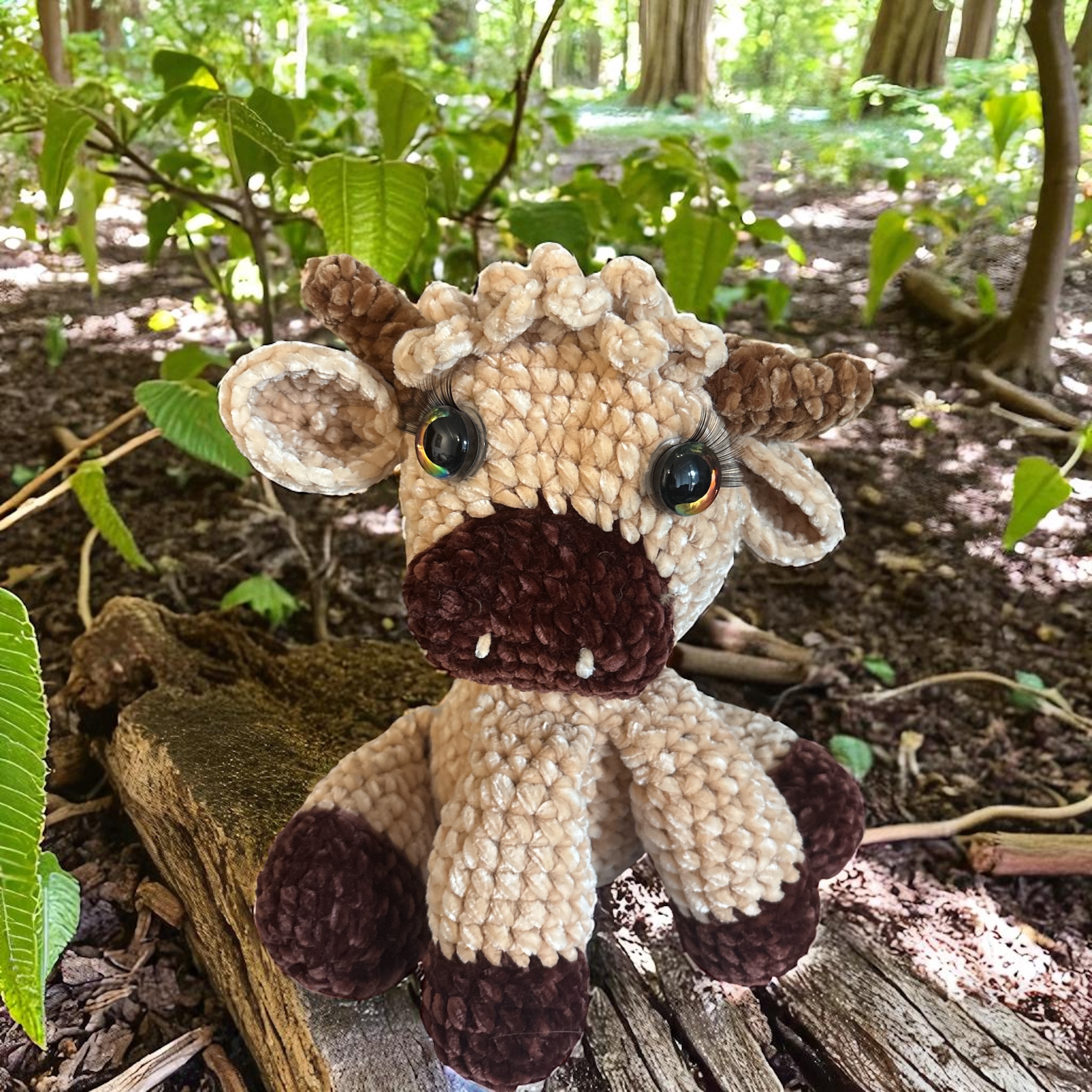 Image supplémentaire