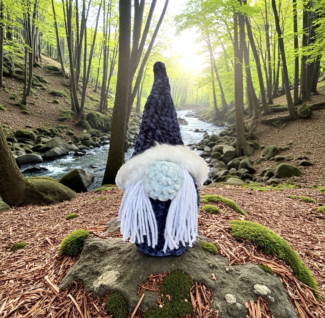 Image supplémentaire