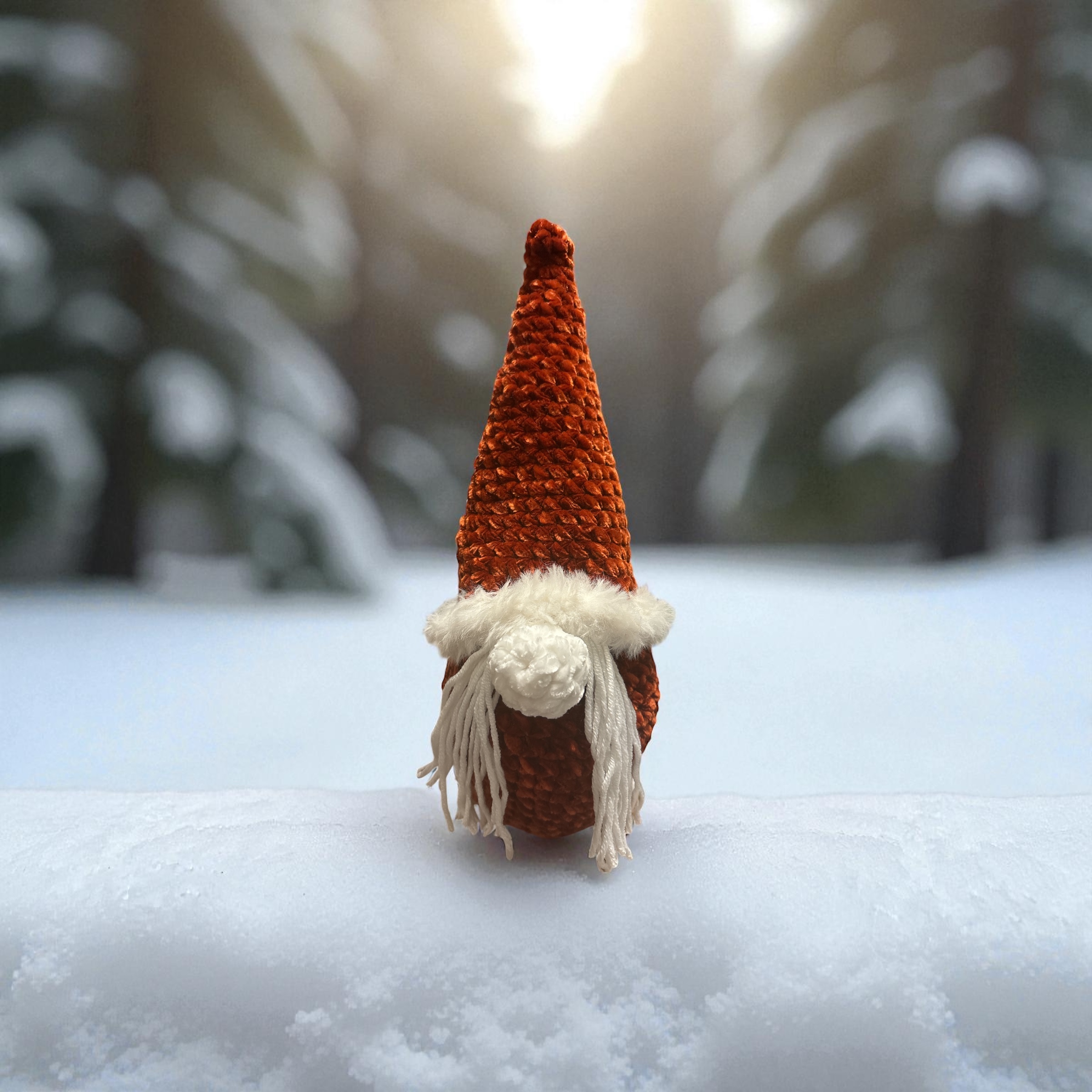 Image supplémentaire