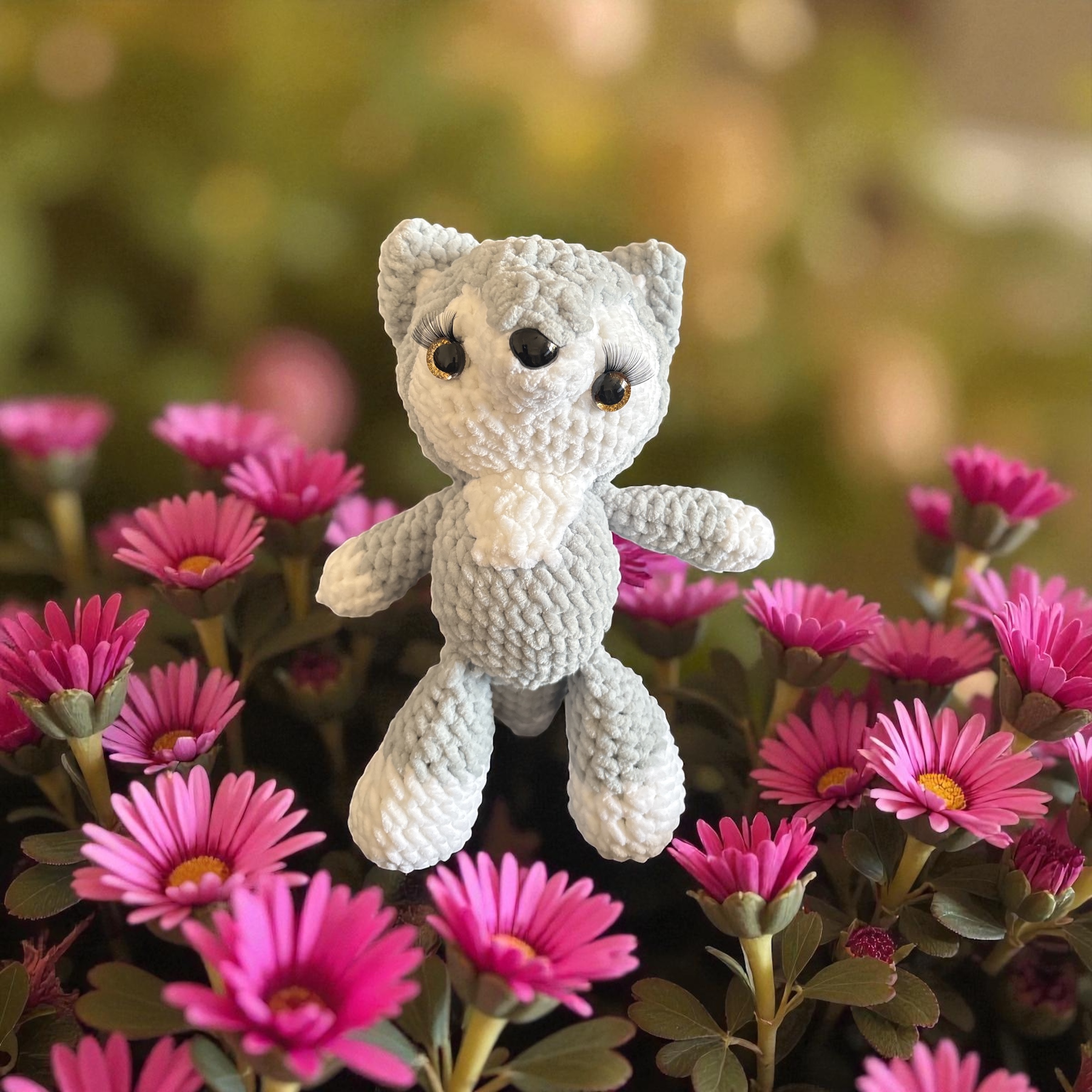 Image supplémentaire