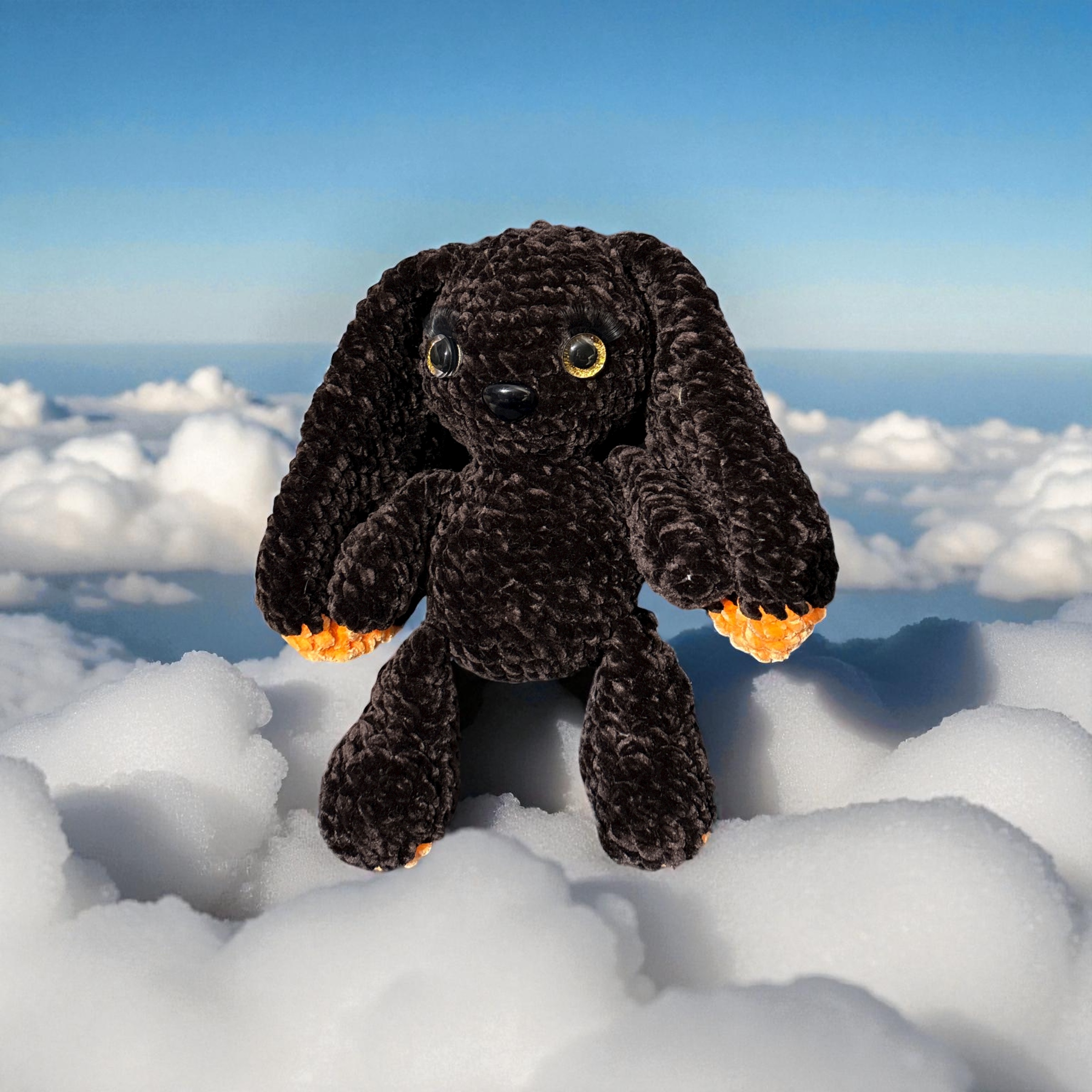 Image supplémentaire