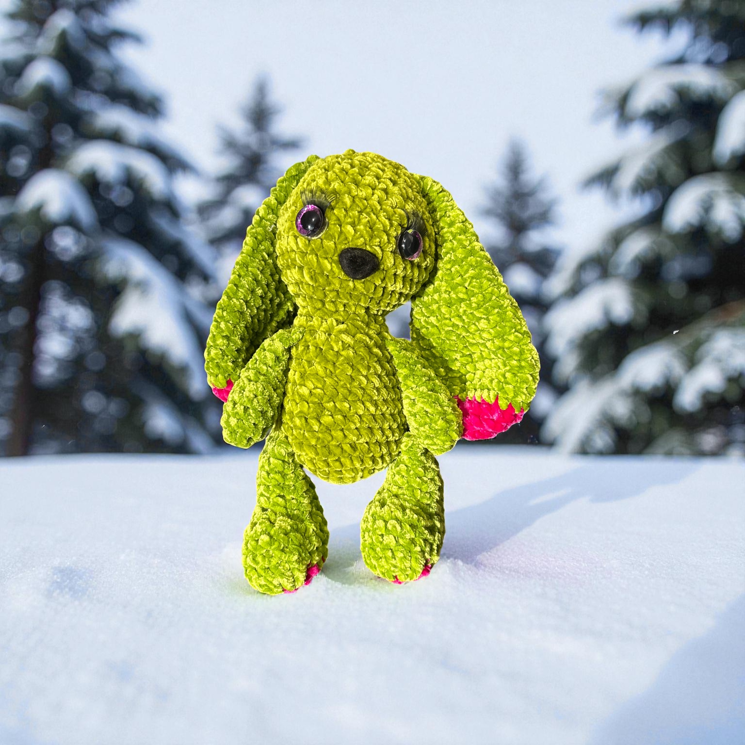 Image supplémentaire