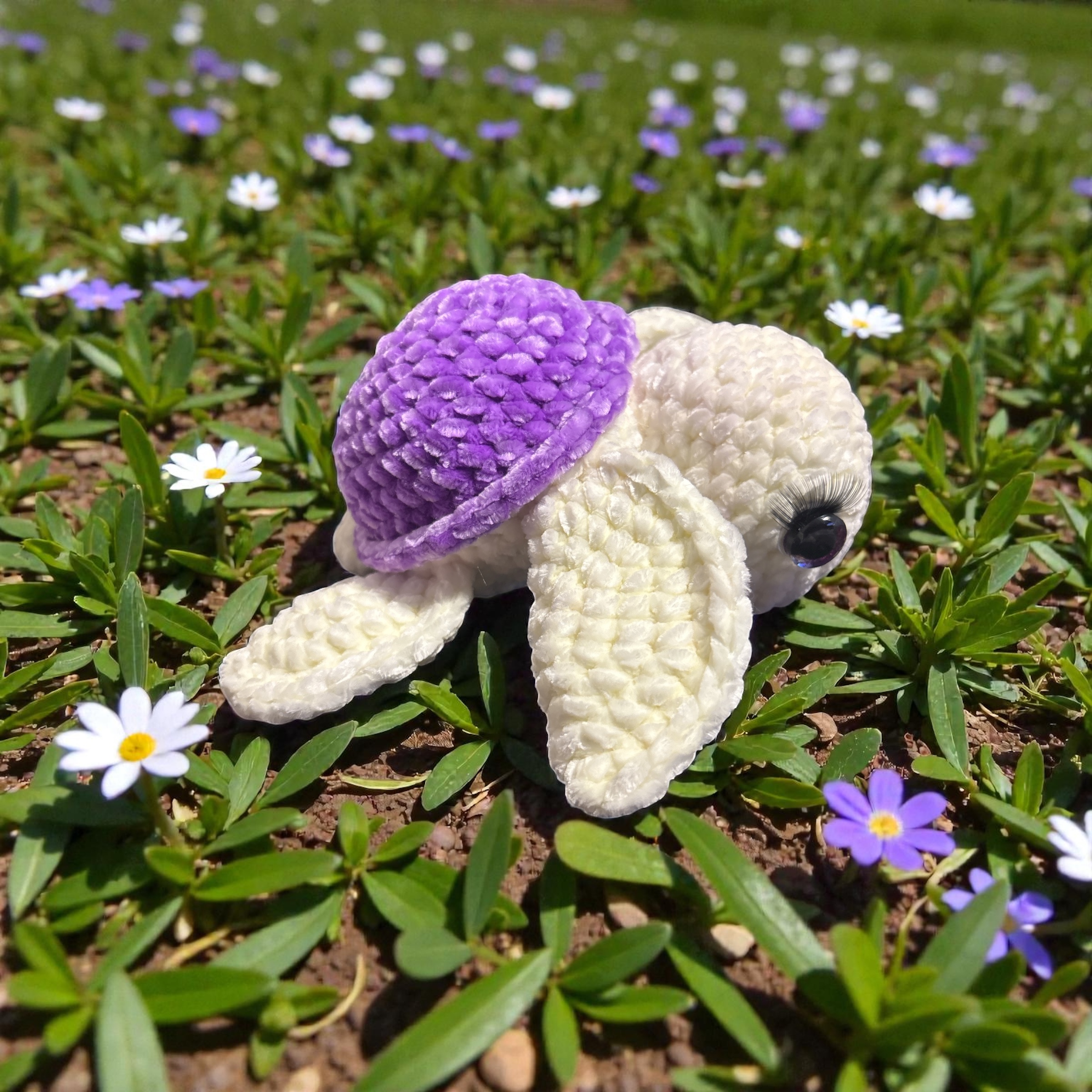 Image supplémentaire