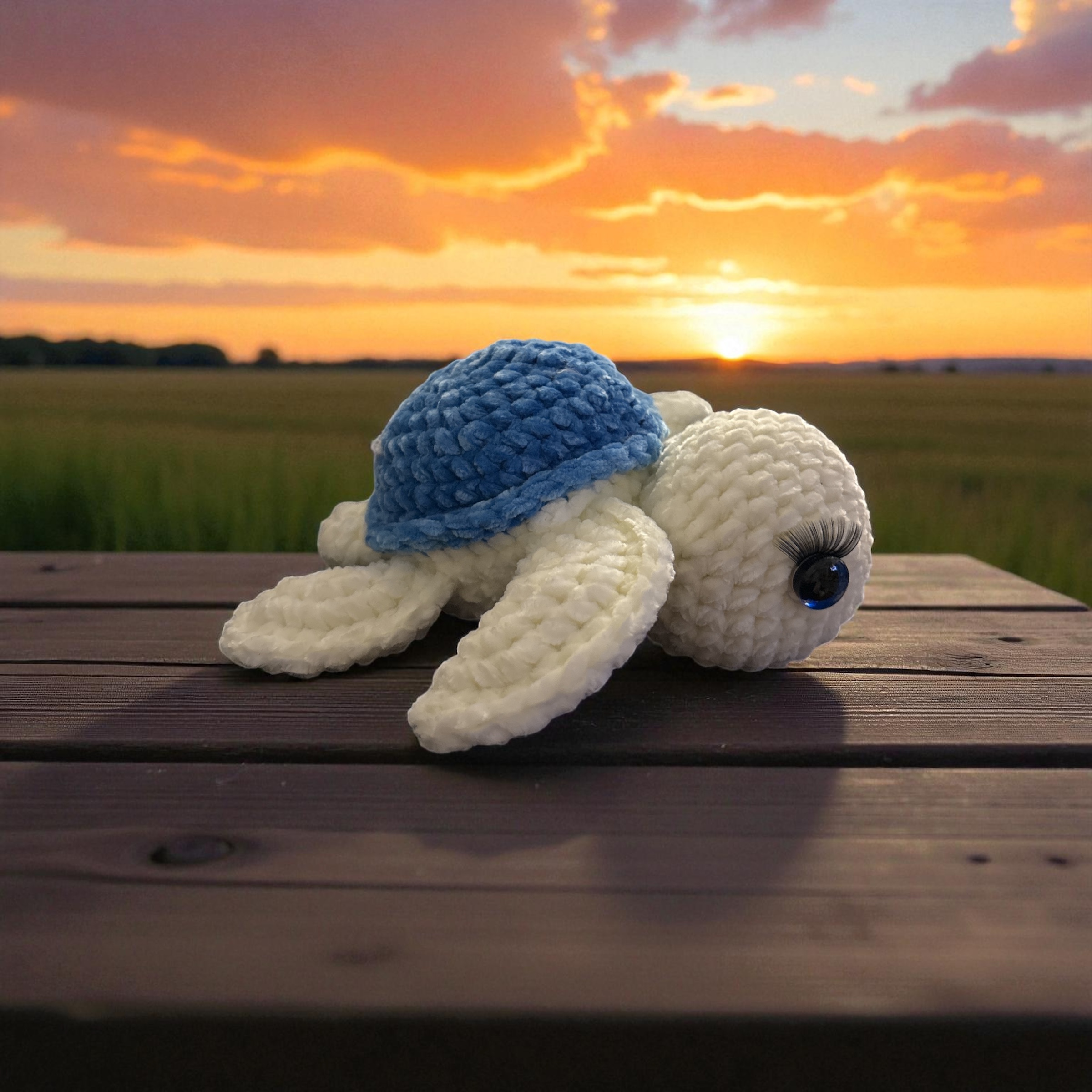 Image supplémentaire