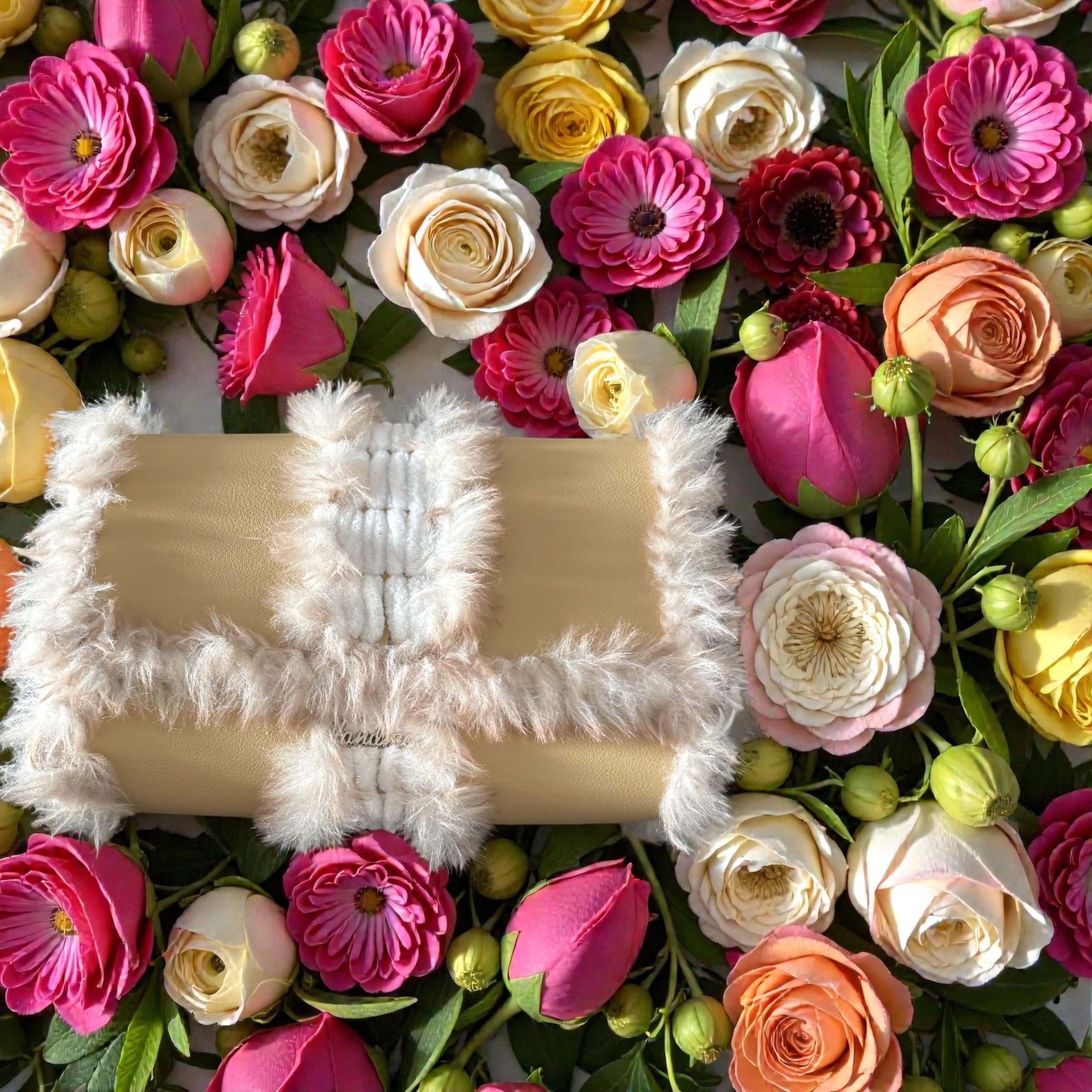 Image supplémentaire