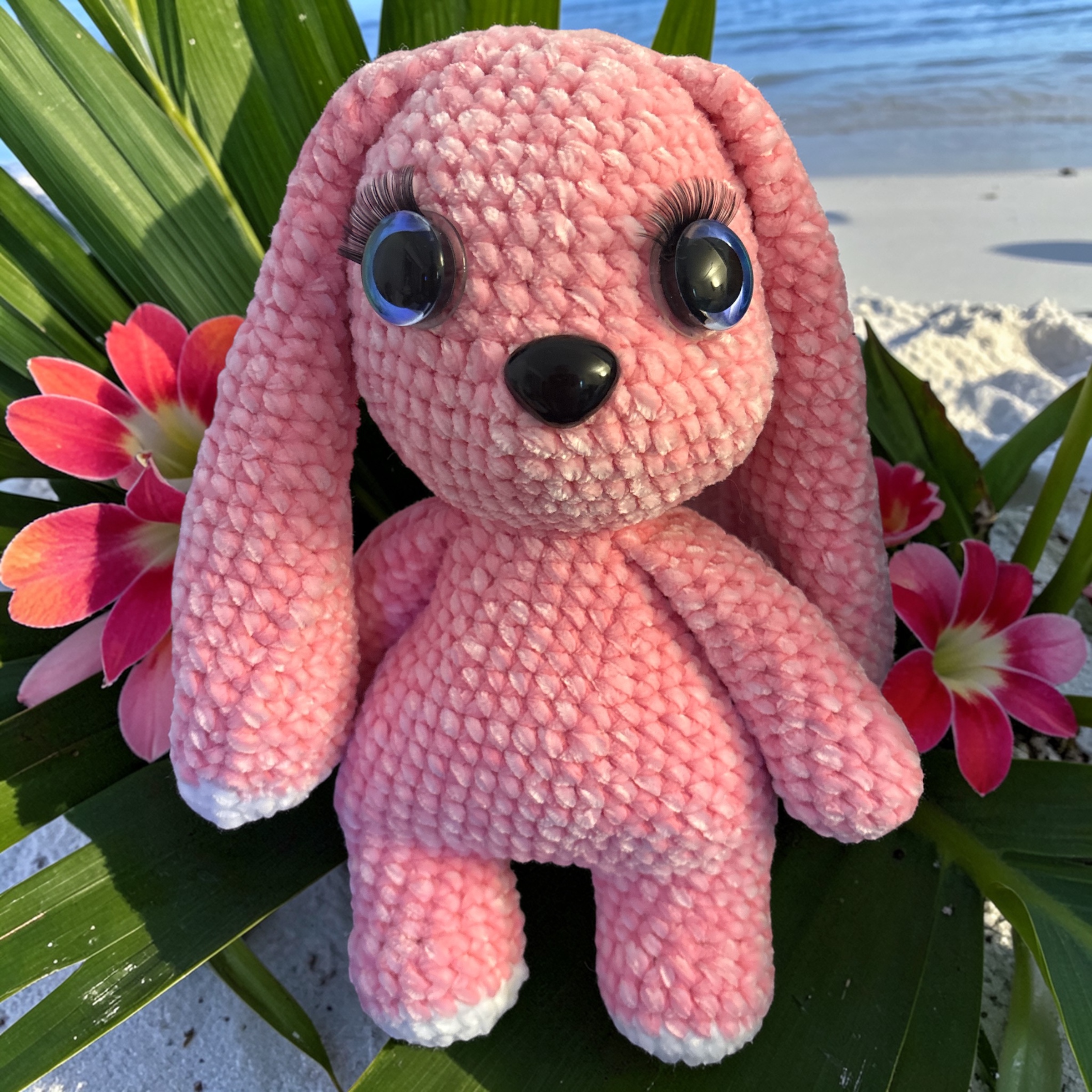 Image supplémentaire