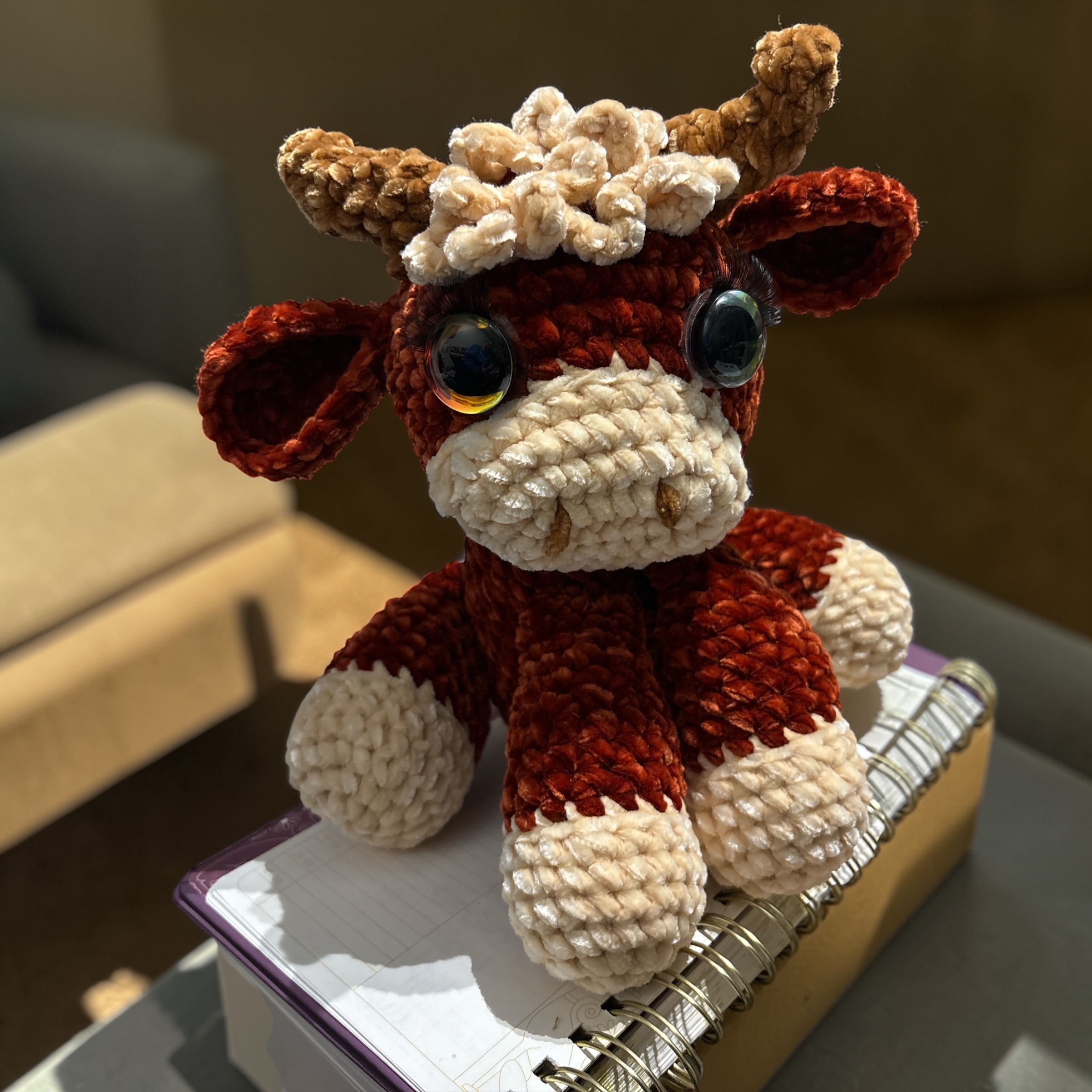 Image supplémentaire