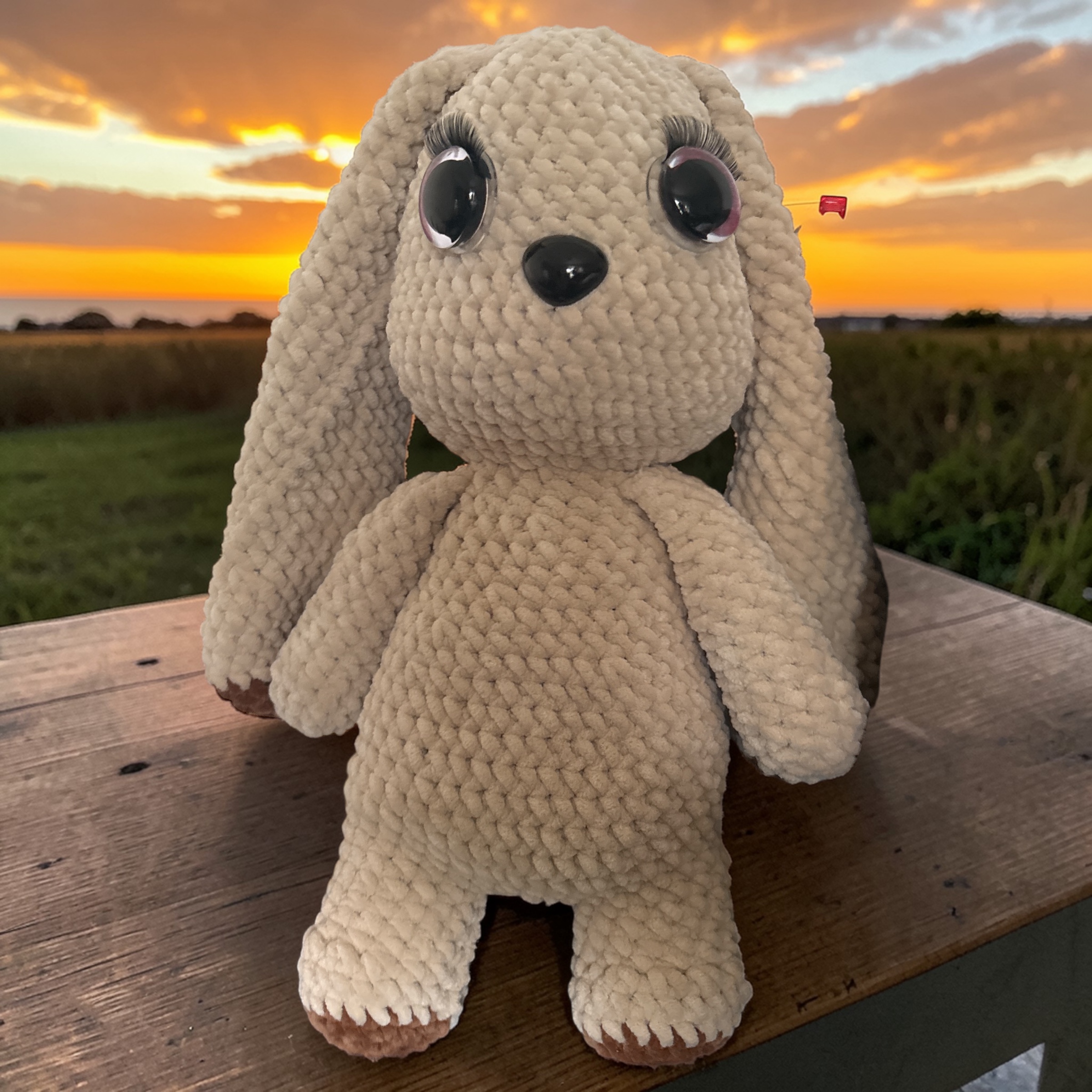 Image supplémentaire