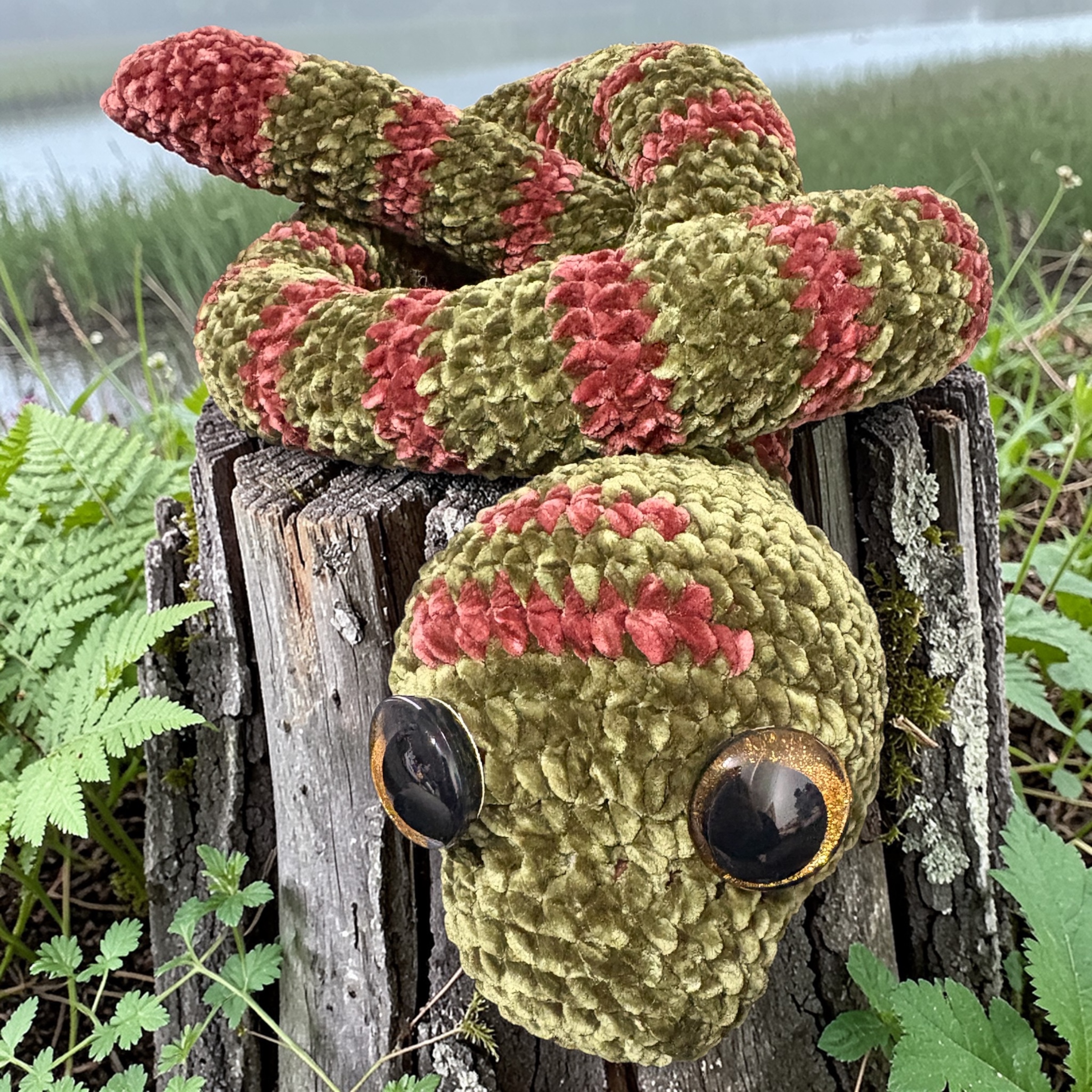 Image supplémentaire