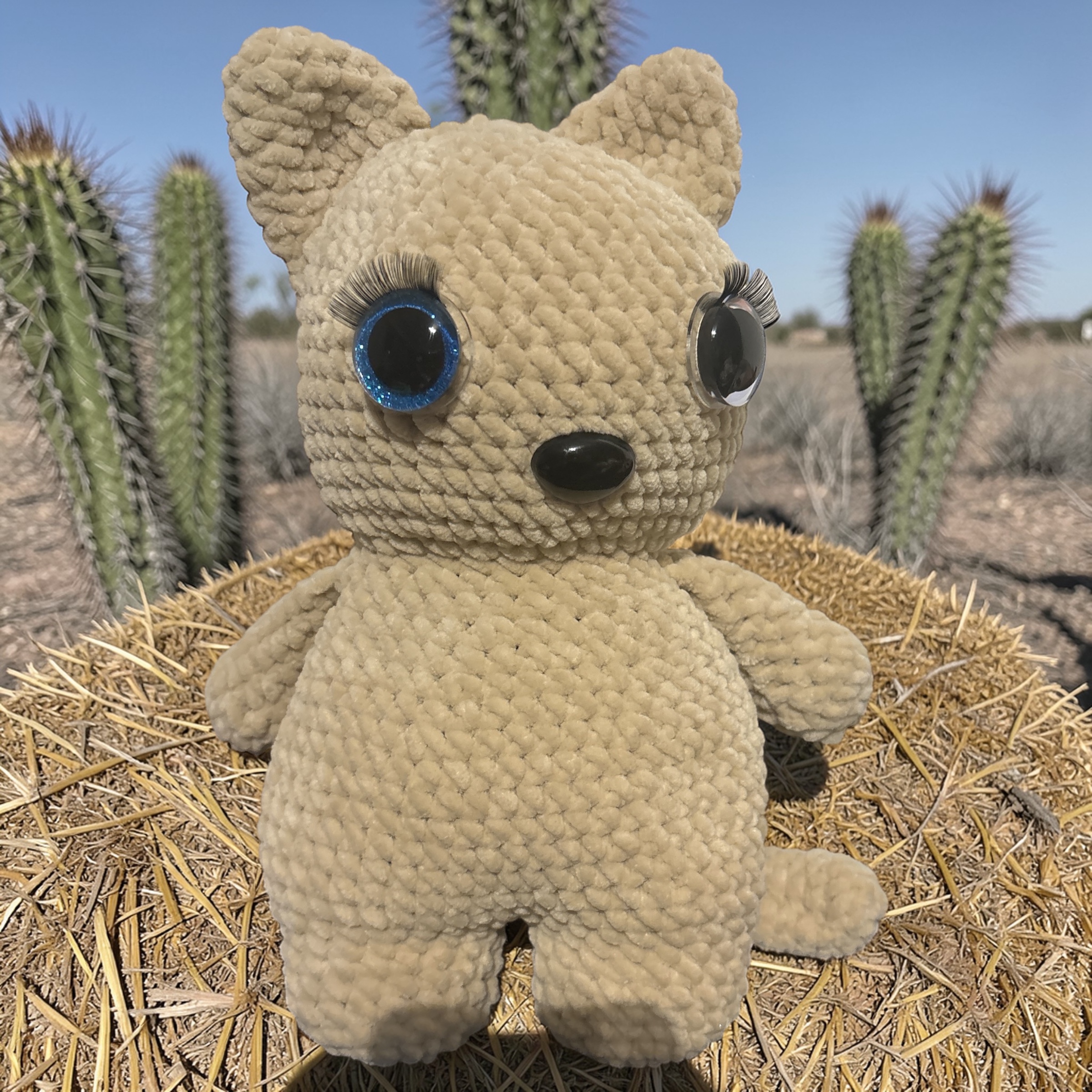 Image supplémentaire